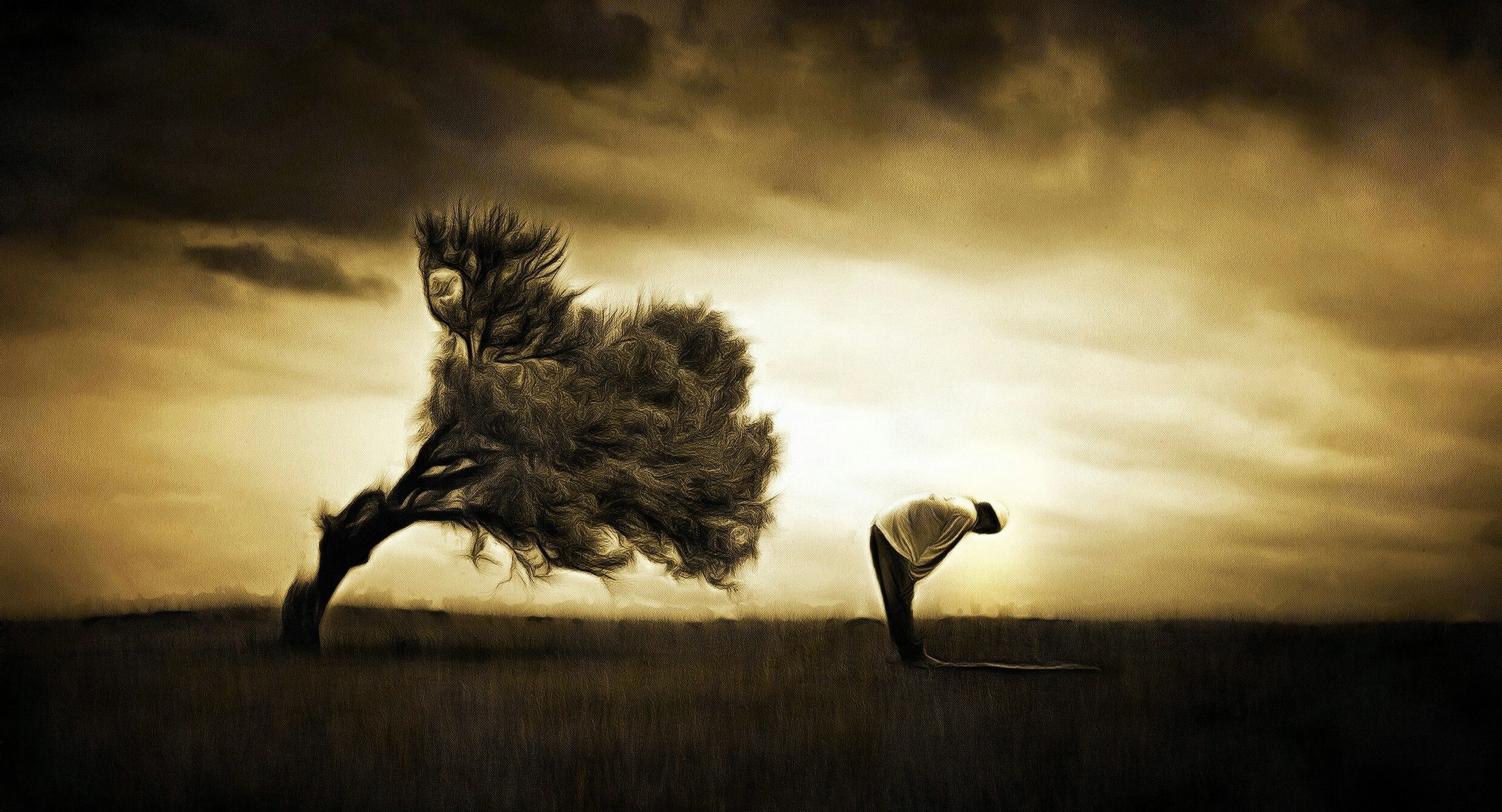 dramatic sky, mammal, nature, animals in the wild, sky, outdoors, landscape, one animal, cloud - sky, digital composite, animal wildlife, vertebrate, sunset, HD Wallpaper
