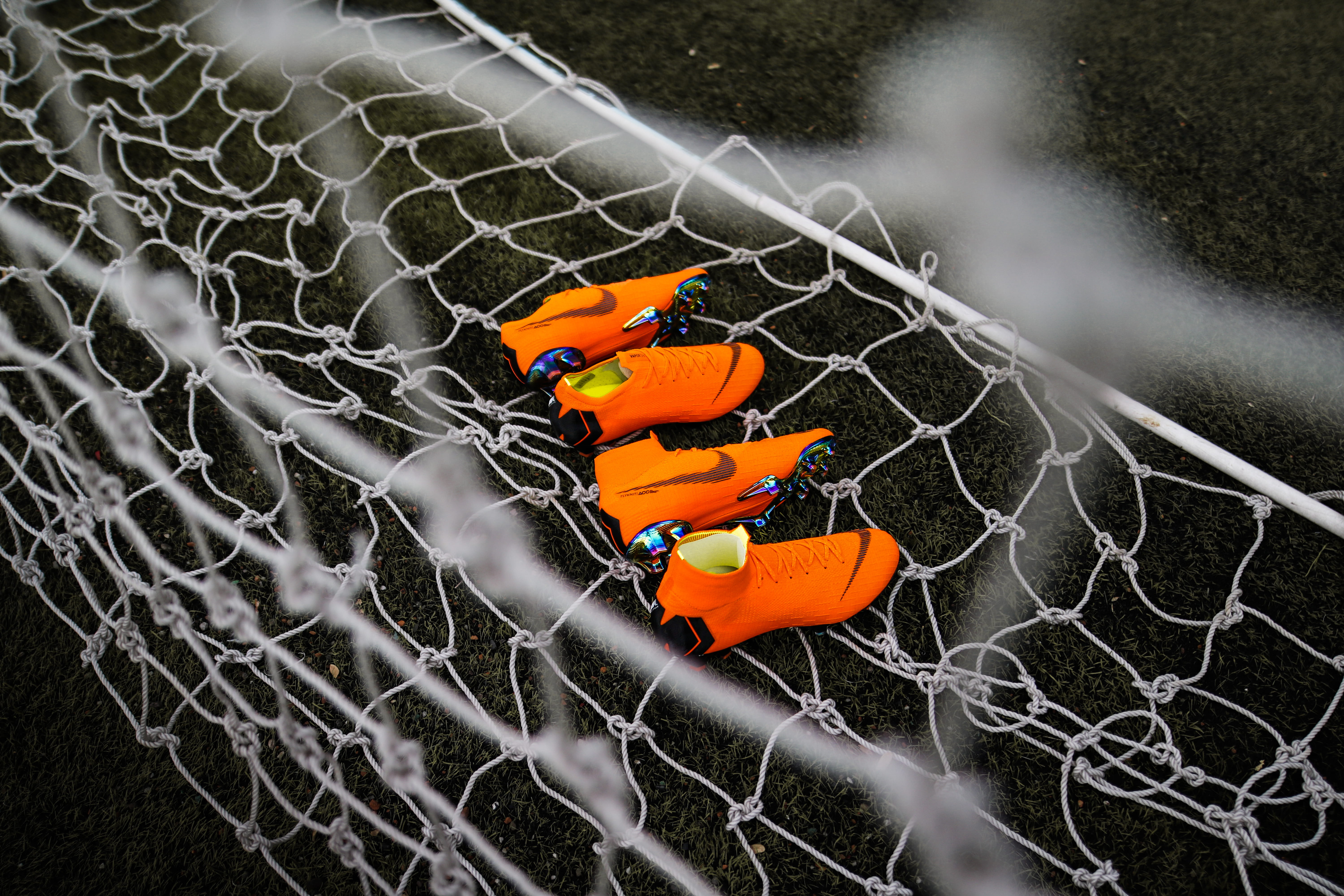 fence, full length, day, animals in the wild, animal themes, animal, orange, net, sport, nature, soccer, football boot, trainer, vertebrate, security, cleats, HD Wallpaper
