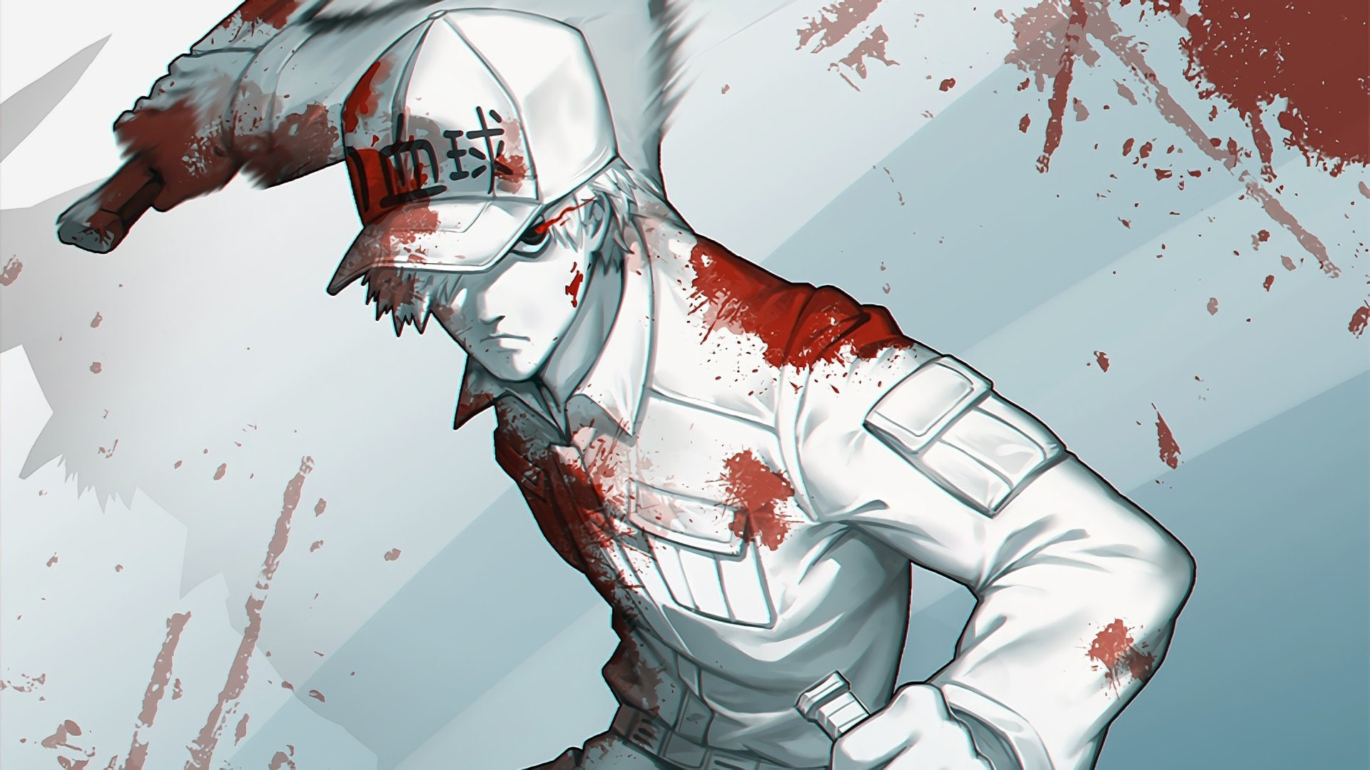 Anime, Cells at Work!, 1080P, U-1146 (Cells At Work!), HD Wallpaper