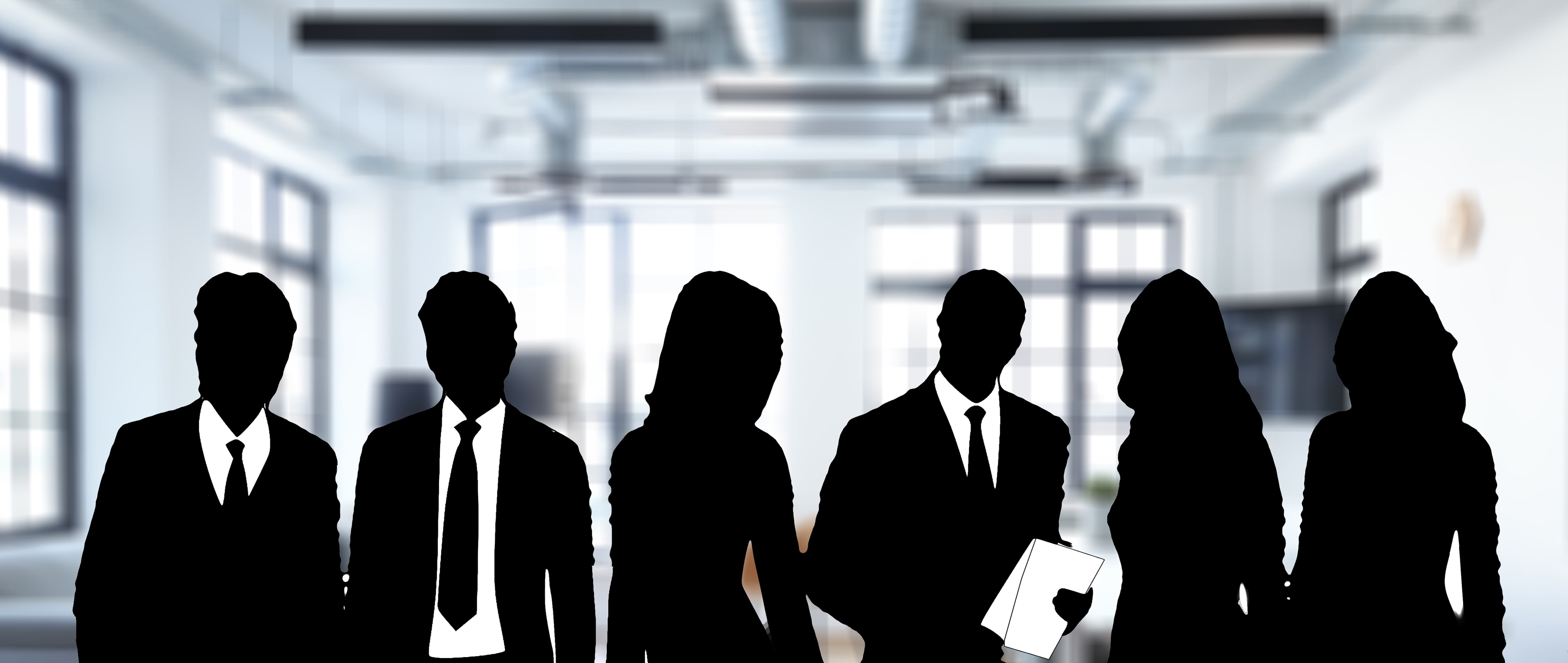 males, team, group, people, silhouette, personal, number of people, white collar worker, woman, illustration, business person, manager, indoors, human, HD Wallpaper