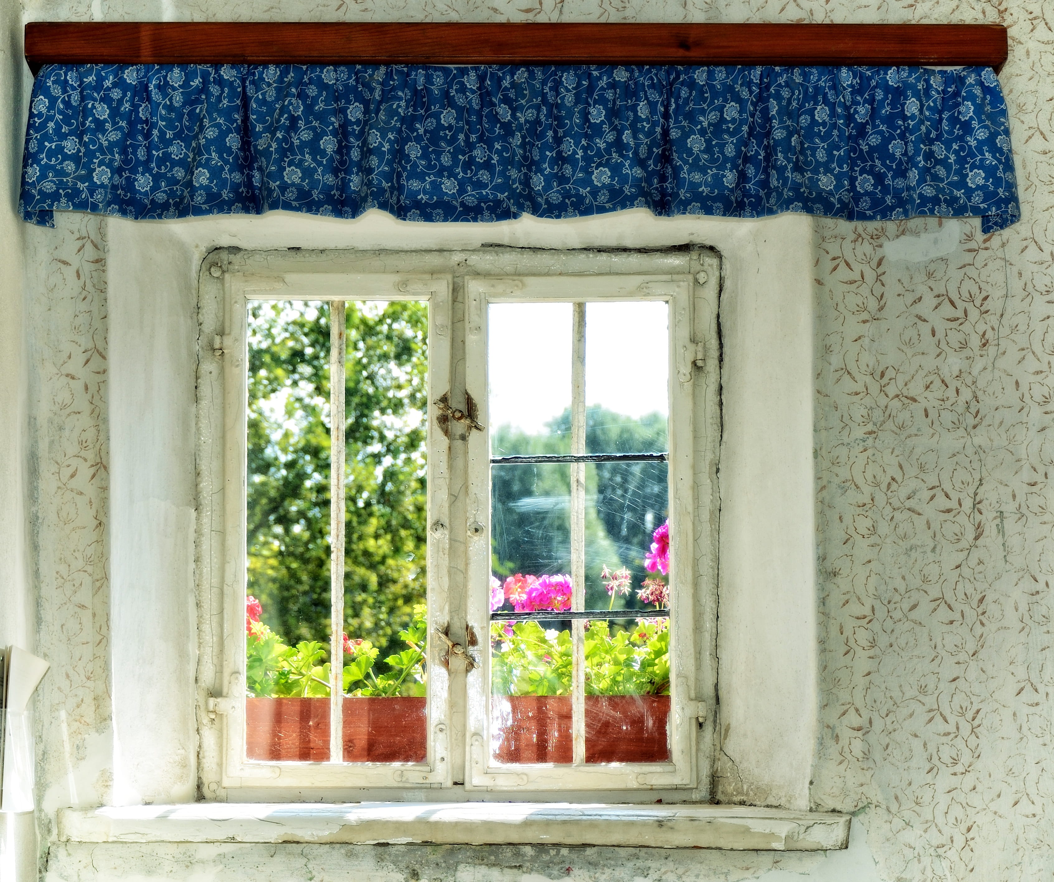 old, architecture, fashion, entrance, deco, nostalgia, 2K, day, wall - building feature, plant, glass panel, outdoors, live, potted plant, flower, metal, HD Wallpaper