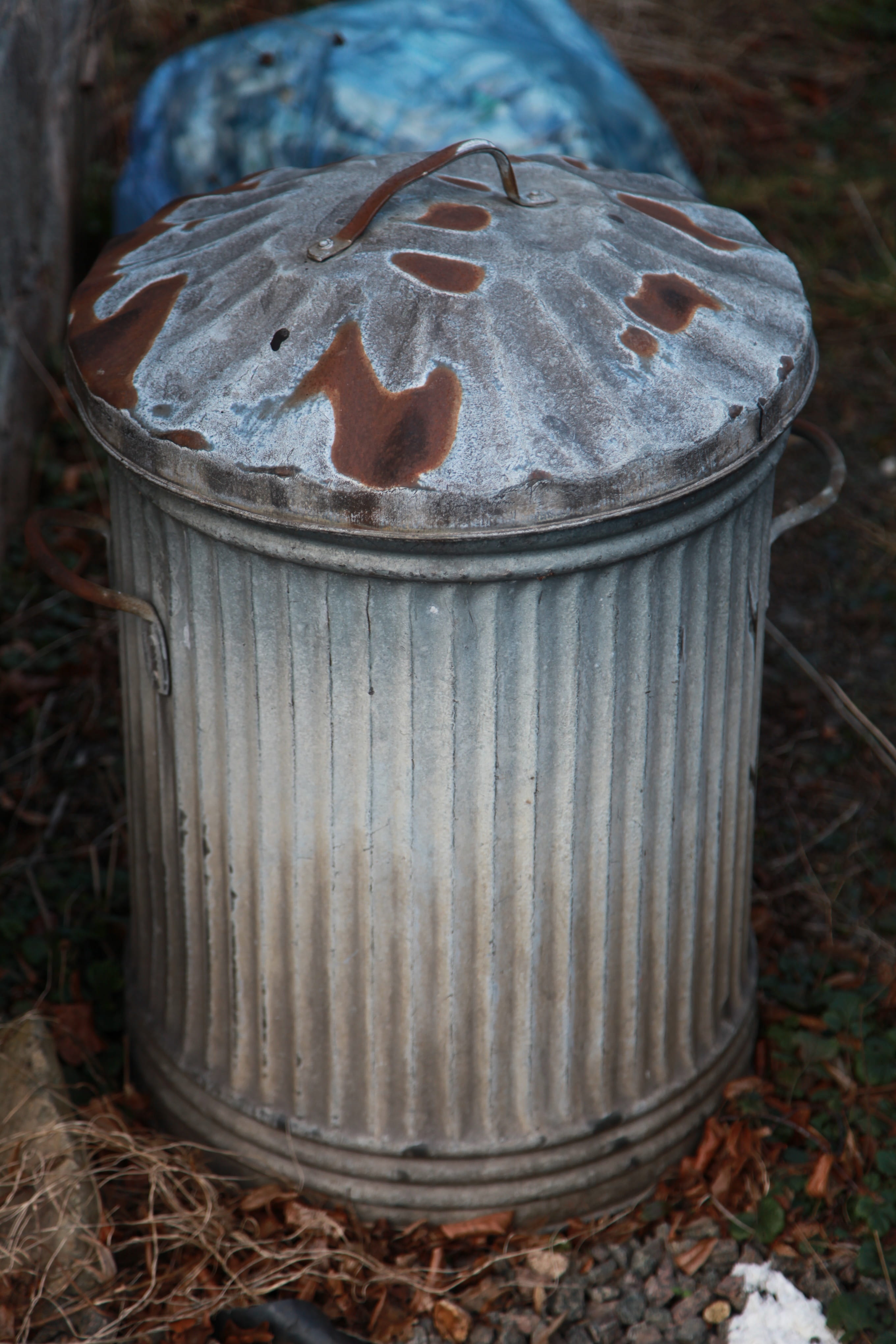 autumn, closed, garbage bin, field, bin, animal, leaf, still life, land, trash, environment, plant part, 4K, day, focus on foreground, trashcan, can, old, Phone HD Wallpaper