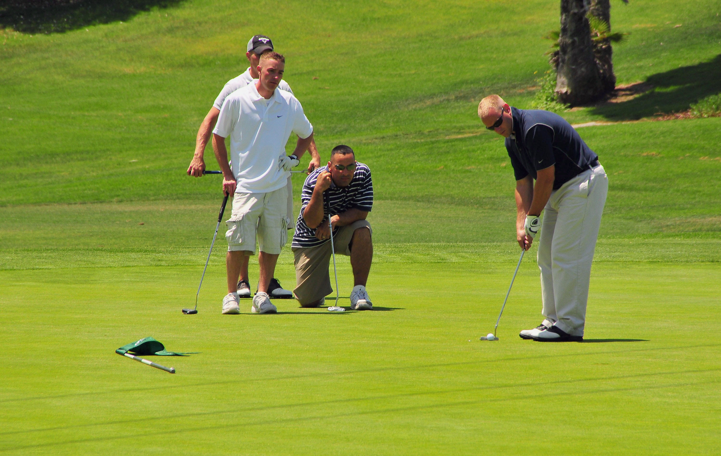 play, course, hit, view, sportsman, landscape, golf Course, mature men, males, putting, club, four, hobbies, men, ball, green - golf course, skill, recreational Pursuit, HD Wallpaper