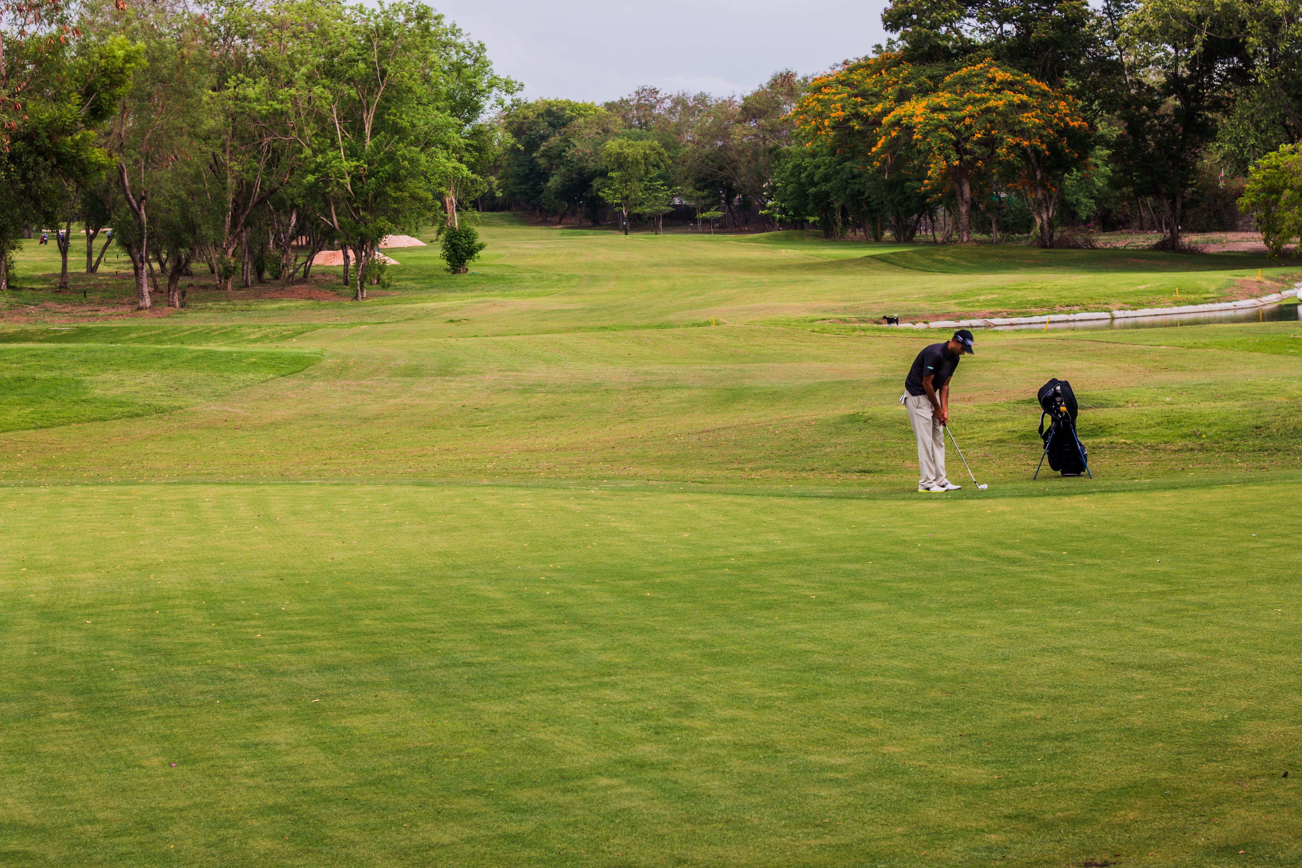 flag, real people, vacation, golf course landscape, course, golfer, scenic, recreational Pursuit, field, summer, lawn, competition, sport, people, nature, HD Wallpaper