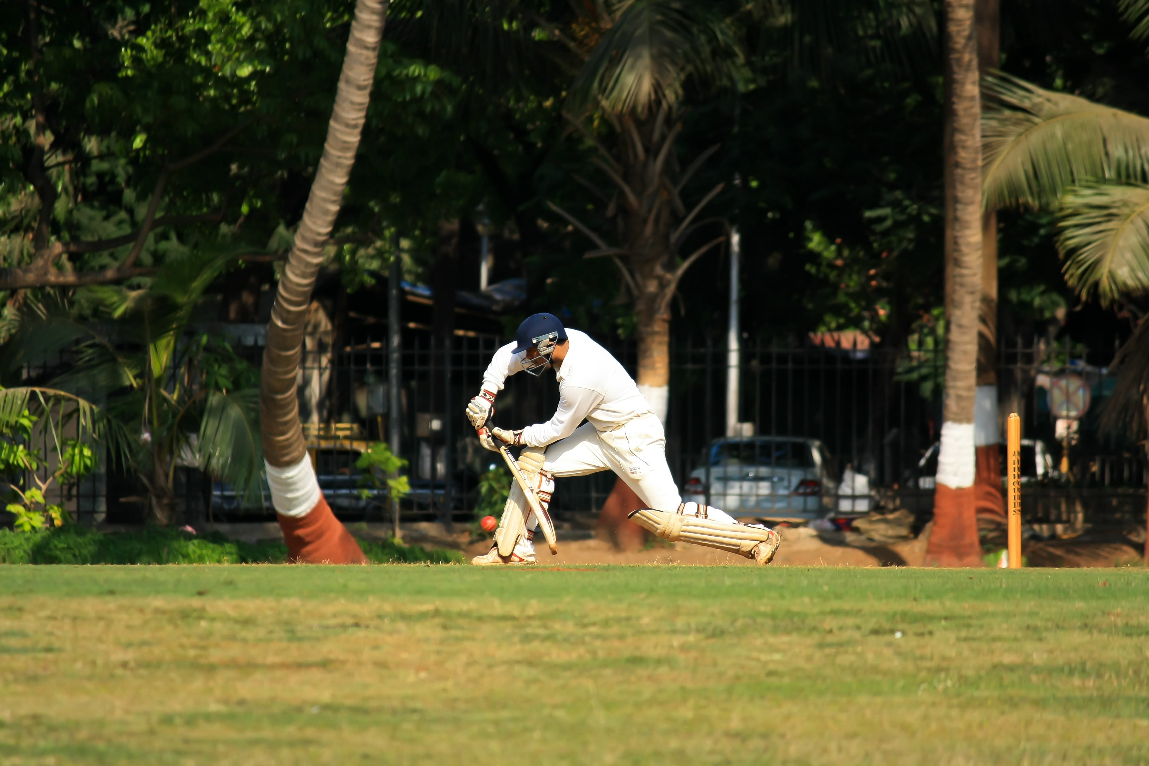 batting, man, tree, men, nature, real people, vertebrate, cricketer, 4K, batsman, farmer, sports, casual clothing, grass, field, stroke, lifestyles, swinging, HD Wallpaper