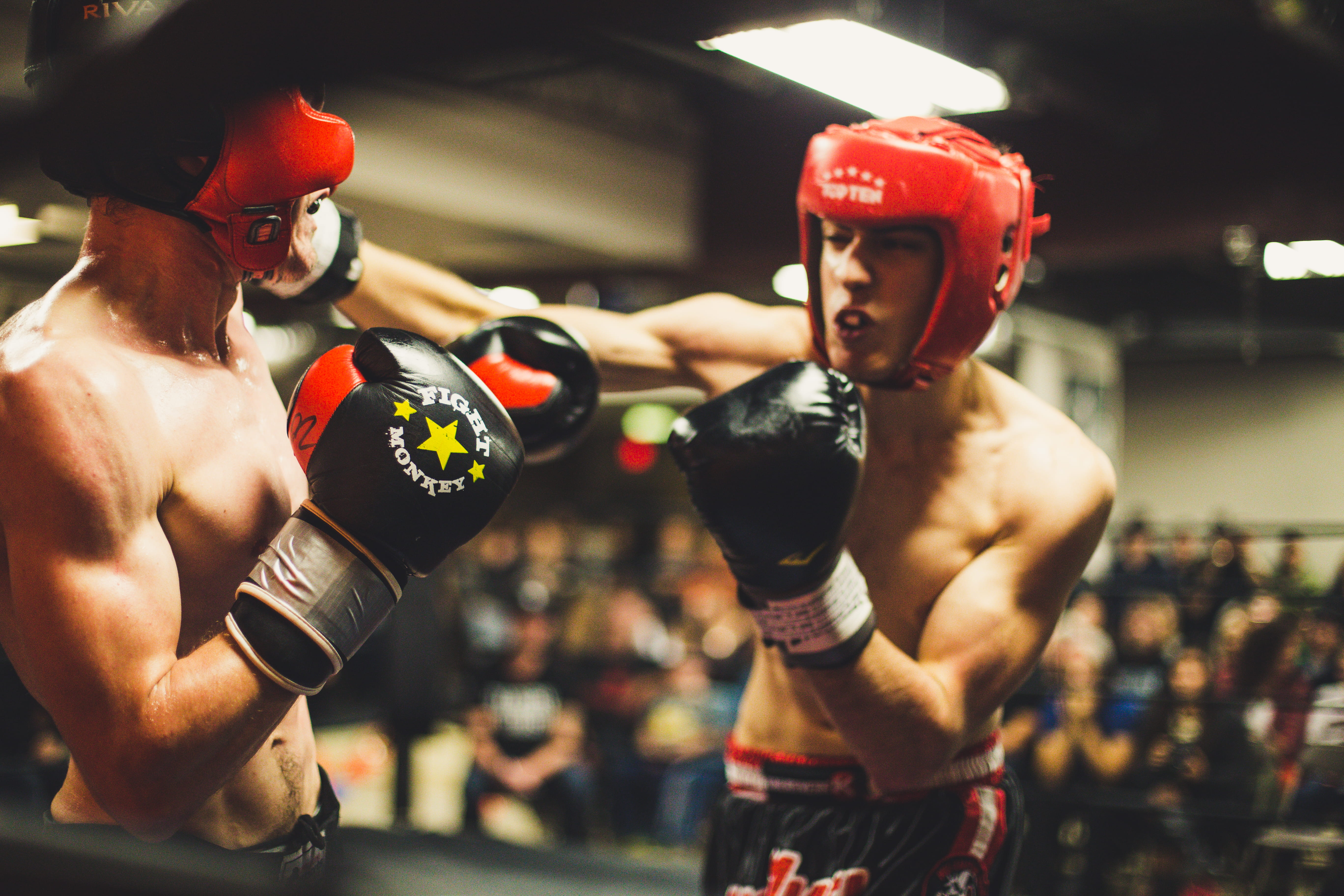 two people, indoors, athlete, people, muscular Build, human muscle, combat sport, lifestyles, fighting, adult, boxing - sport, males, 5K, shirtless, strength, HD Wallpaper