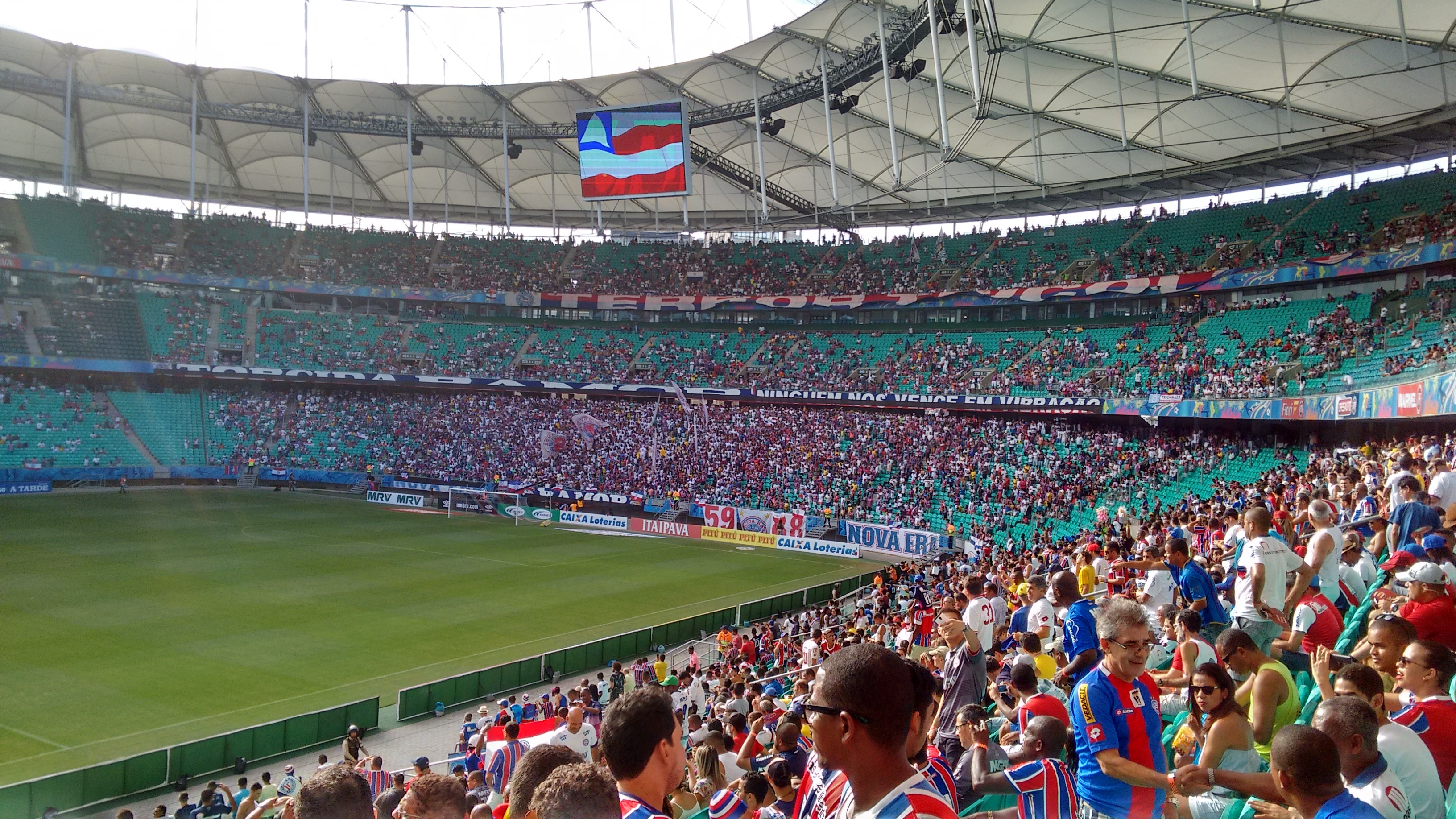 women, festival, lifestyles, brasil, outdoors, crowd, esporte clube bahia, championship, people, group of people, sport, leisure activity, large group of people, HD Wallpaper