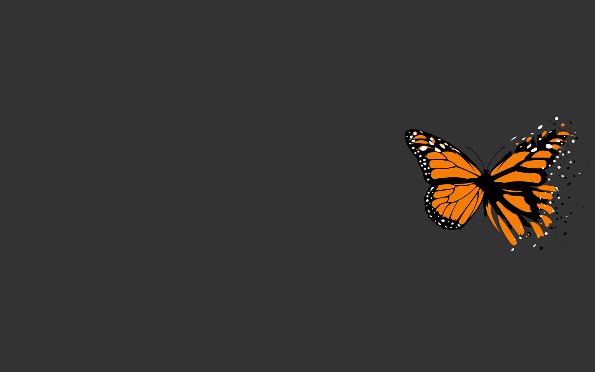 close-up, invertebrate, animal themes, wildlife, minimalism, one animal, art, brown, 1080P, animal Wing, pattern, white, animal wildlife, backgrounds, HD Wallpaper