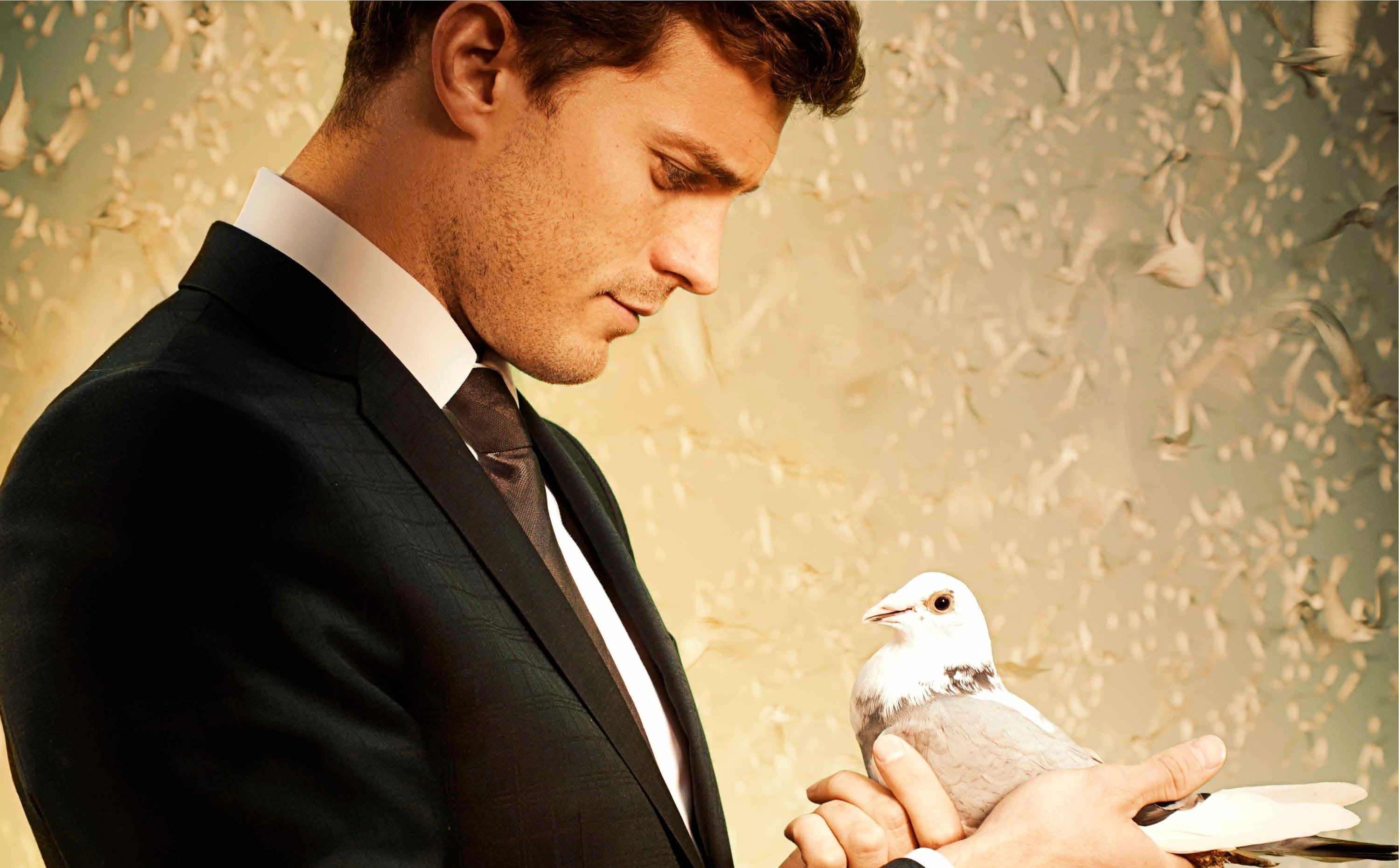 business, young men, bird, animal, formal, young Adult, jacket, emotion, black, well-dressed, jamie dornan, men, nature, love, outdoors, fashion, businessman, HD Wallpaper