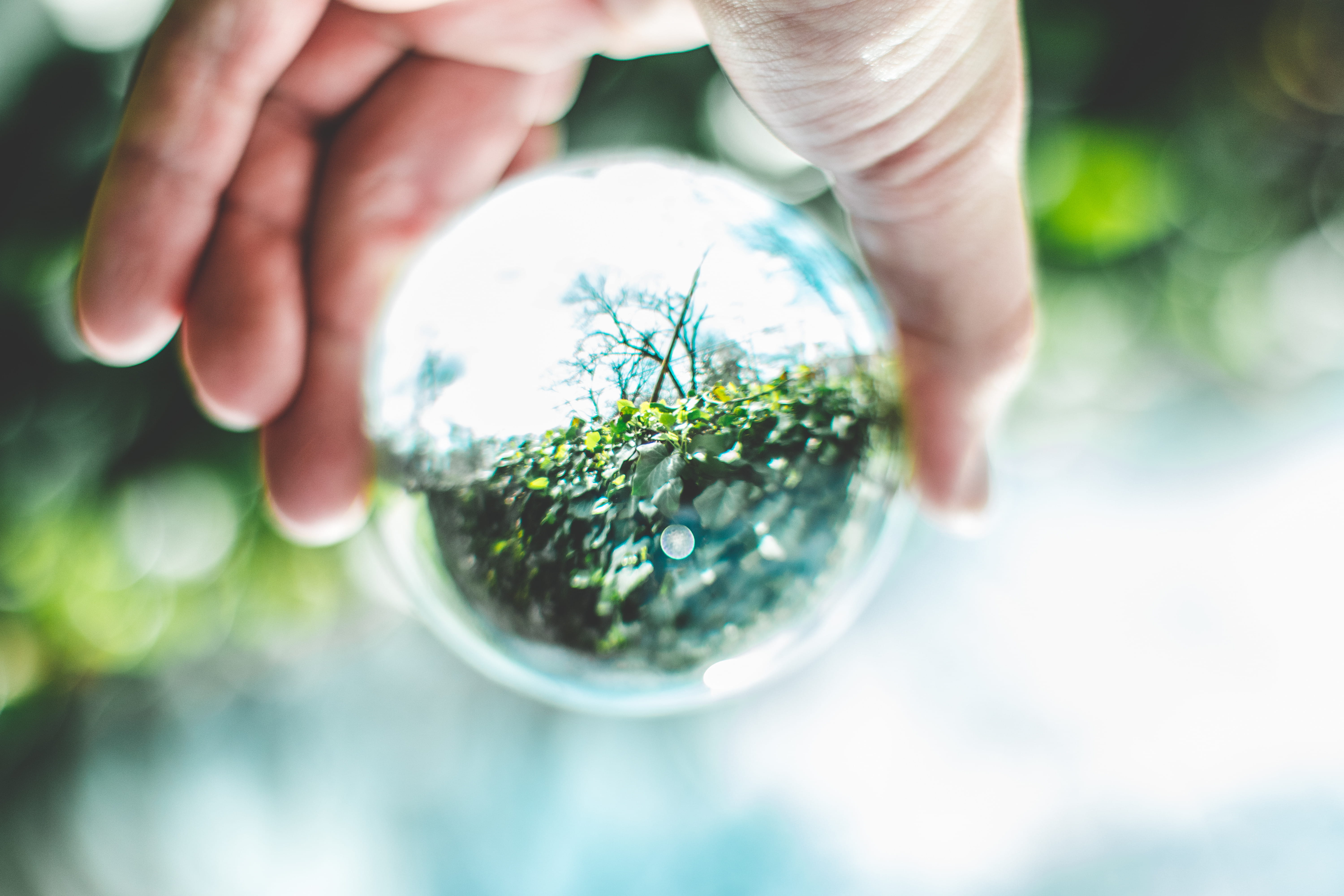 focus on foreground, care, leaves, daylight, green color, green, sphere, ball-shaped, close-up, environment, garden, environmental issues, environmentalist, HD Wallpaper