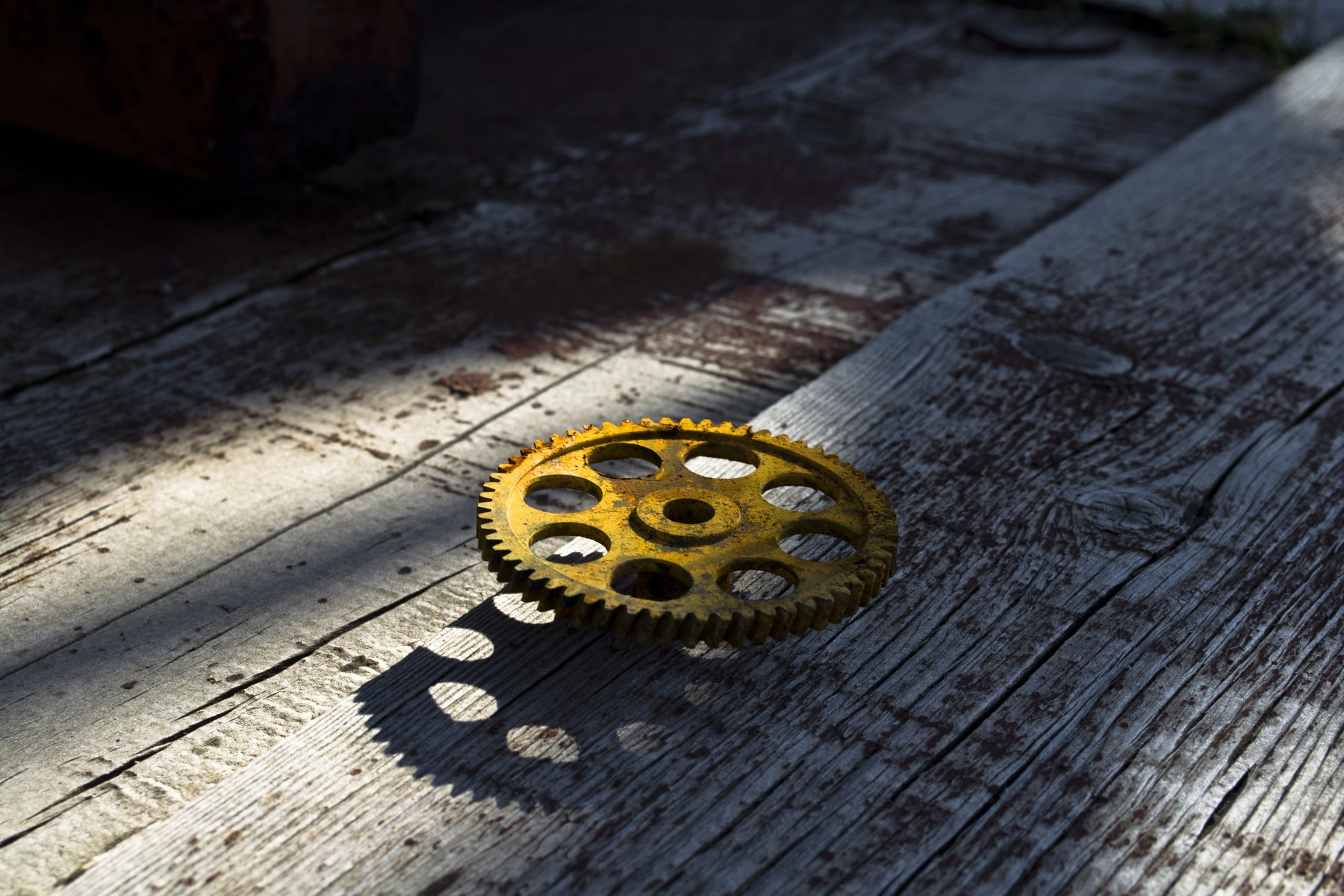 day, Cogwheel, focus on foreground, no people, flooring, Tree, still life, text, one animal, yellow, wood - material, number, footpath, abandoned, the lone, HD Wallpaper