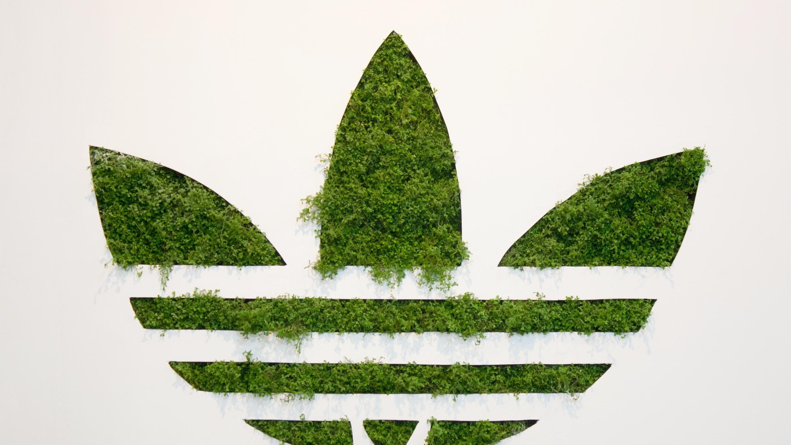 grass, adidas, firm, 2K, sport, logo, HD Wallpaper