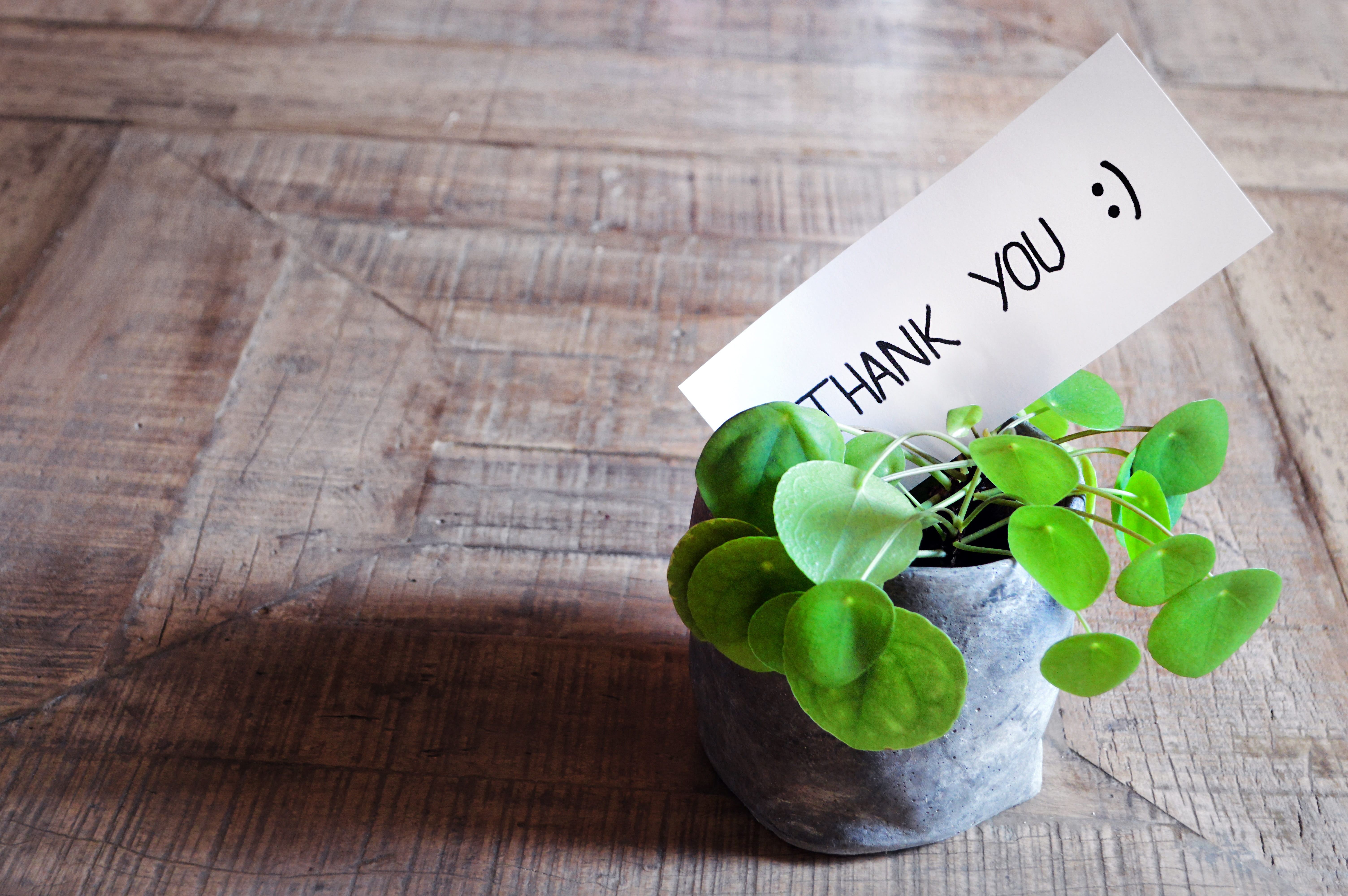 table, thank you, leaf, map, no people, copy space, close-up, post, modern, wood - material, green color, wellbeing, good mood, text, nature, thank you card, HD Wallpaper