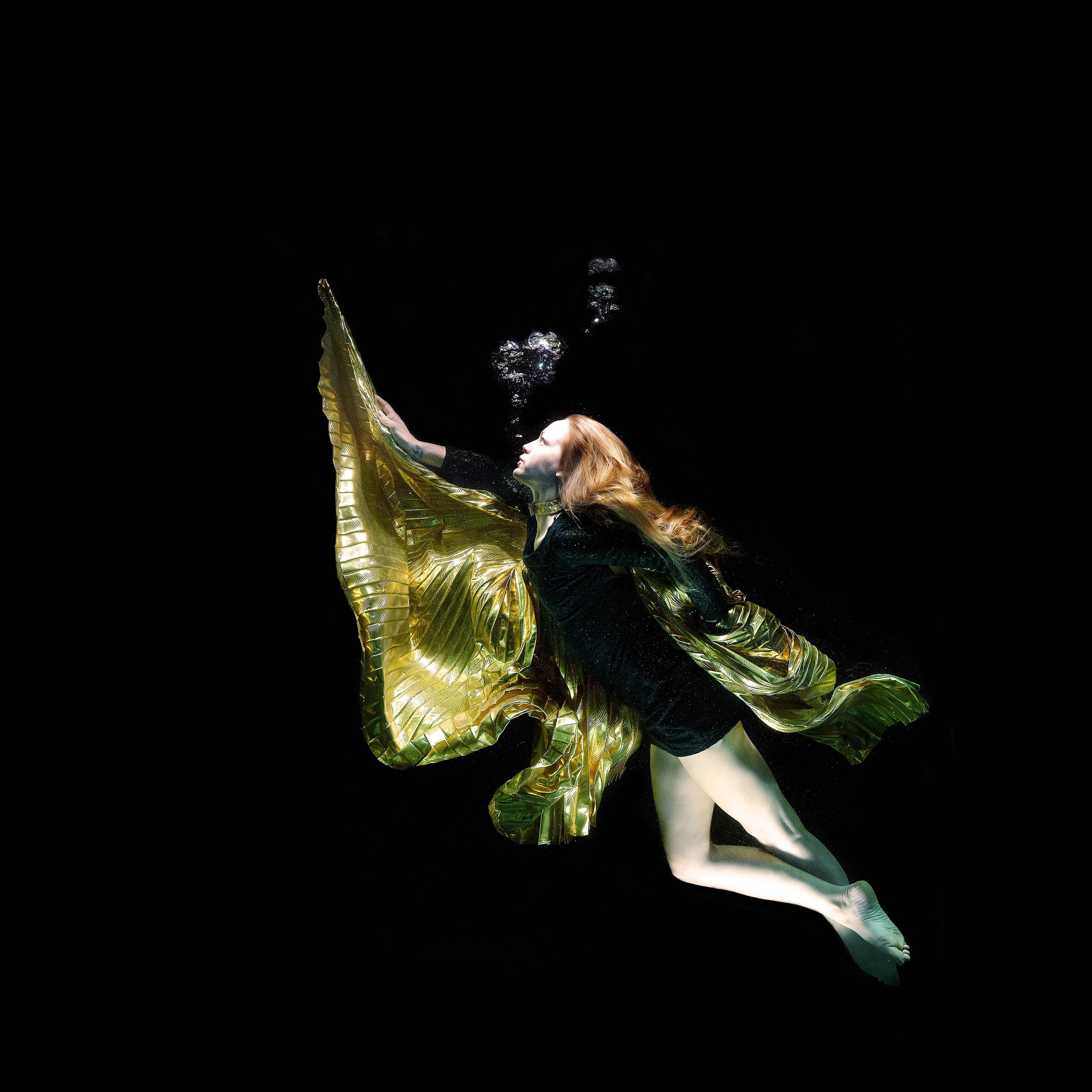 opinions, black, side view, studio shot, fashion shoot, animal, copy space, beauty, close-up, under water, dress, design, full length, water, clothing, HD Wallpaper