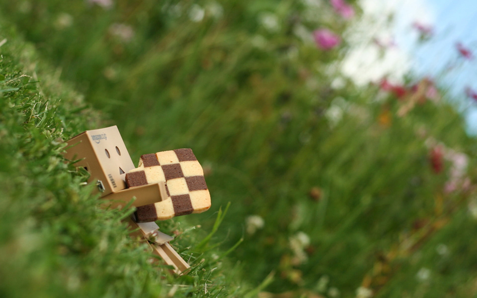 toy, close-up, cardboard, arts culture and entertainment, focus on foreground, box, stack, lie, wood - material, cube shape, cookies, outdoors, relaxation, HD Wallpaper