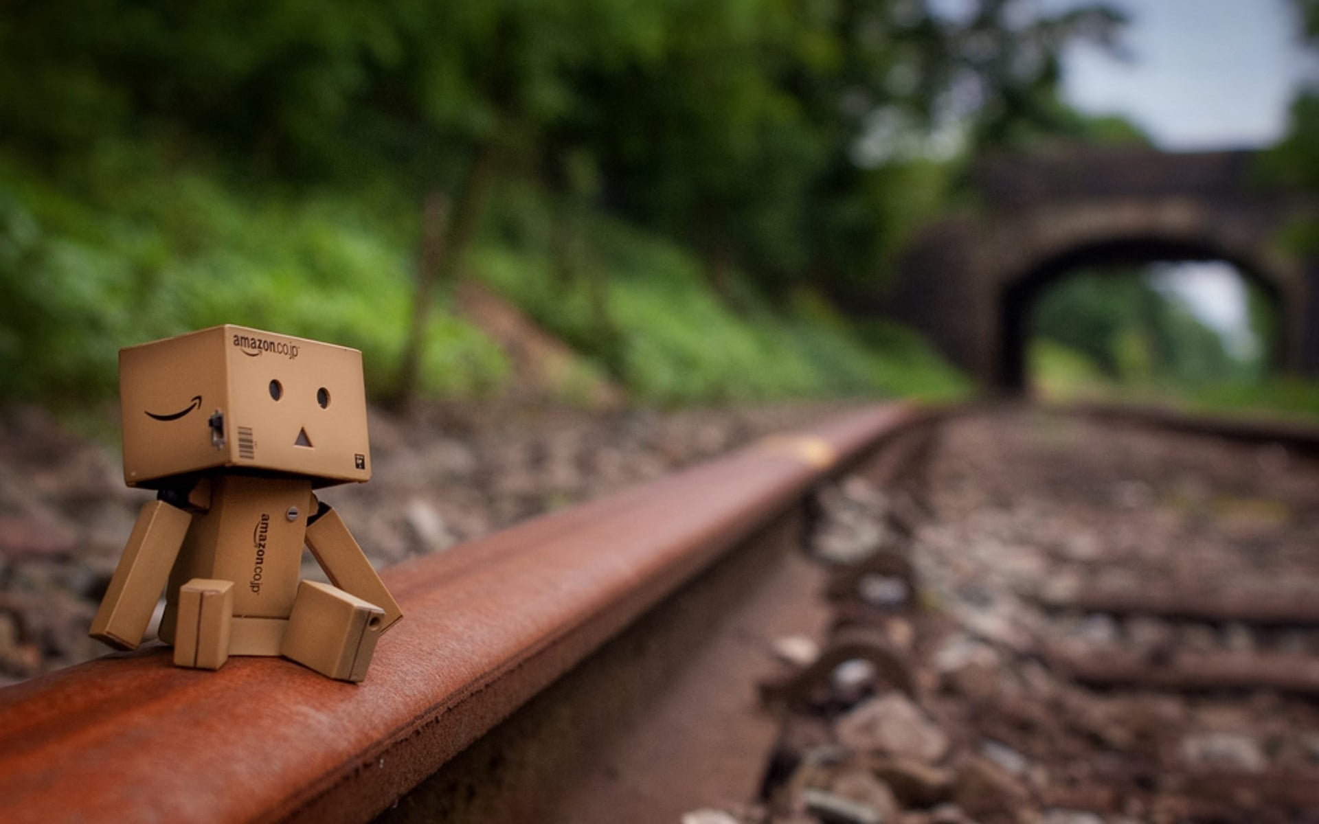 brown, nature, toy, art and craft, transportation, built structure, representation, no People, focus on foreground, mood, rail, plant, outdoors, danbo, HD Wallpaper