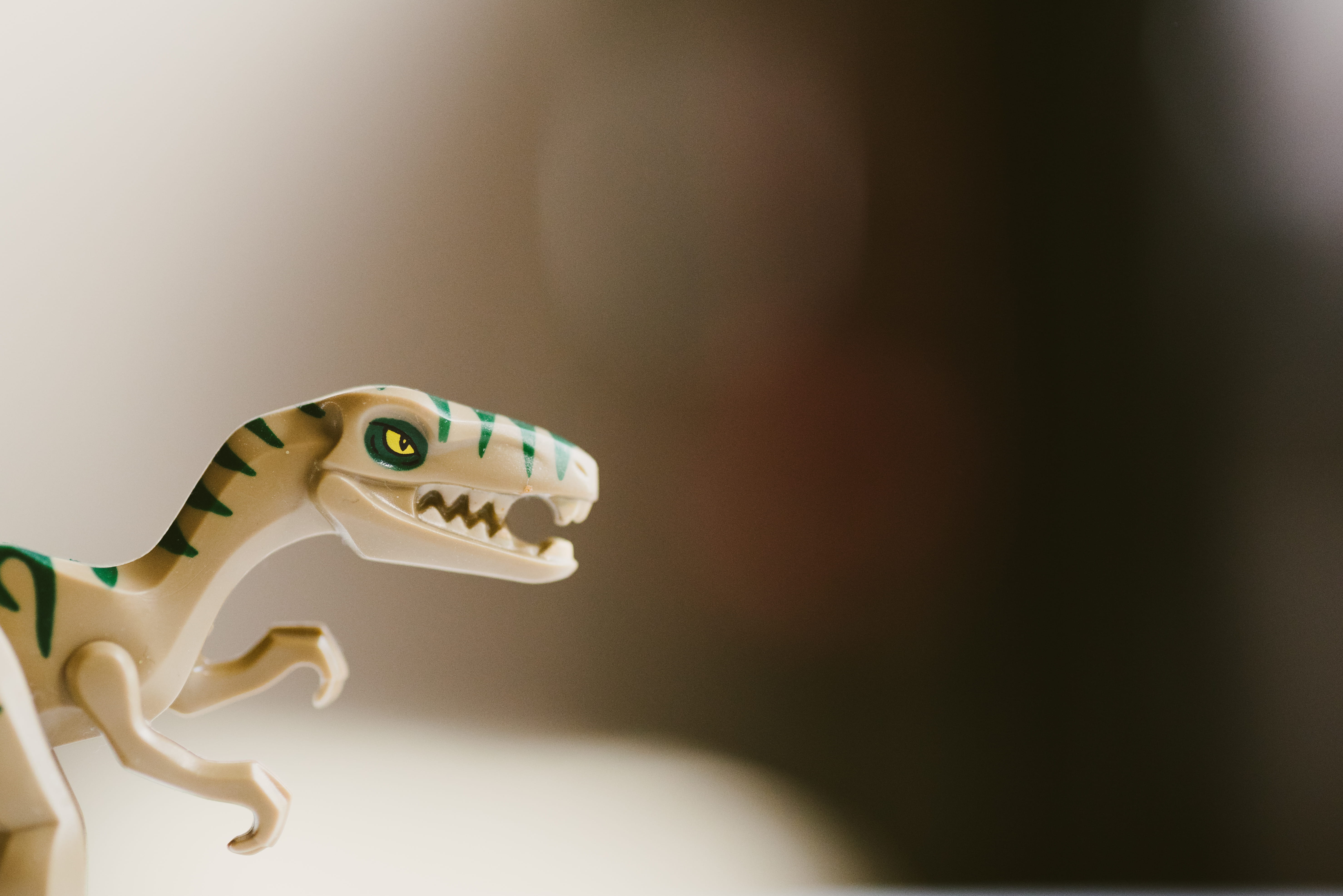 animal head, 5K, toy, animal representation, studio shot, indoors, lego, representation, copy space, creativity, minifig, single object, no people, animal, HD Wallpaper