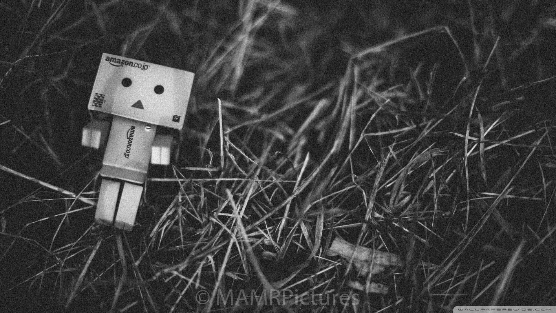no people, representation, wood - material, day, power supply, birdhouse, Danbo, robot, paper, technology, nature, toy, lego, still life, plant, outdoors, HD Wallpaper