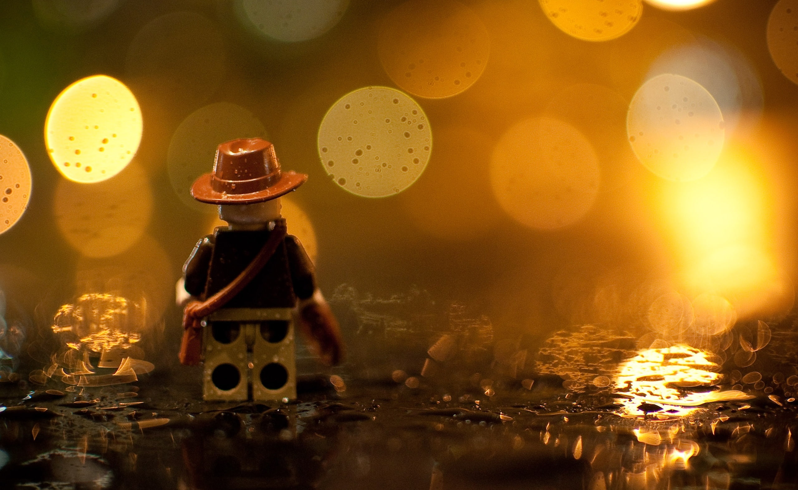 2K, indiana, luxury, gold colored, wealth, water, close-up, mini, electric lamp, focus on foreground, lens flare, cowboy, Macro, Night, bottle, Miniature, HD Wallpaper