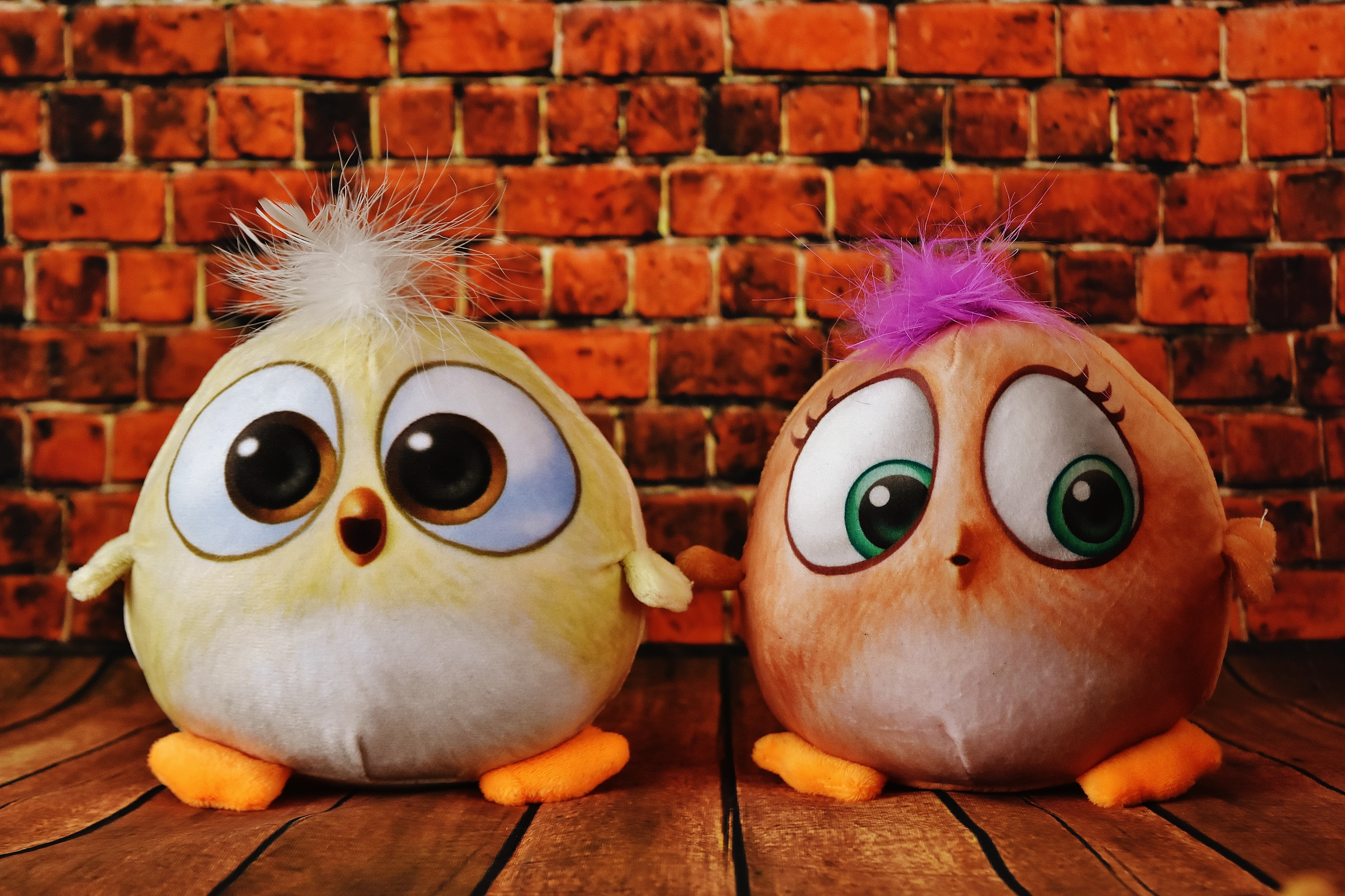 cuddly, plush, brick wall, cute, indoors, teddy bear, yellow, brick, funny, celebration, no people, fun, 5K, children toys, human representation, eyeball, HD Wallpaper