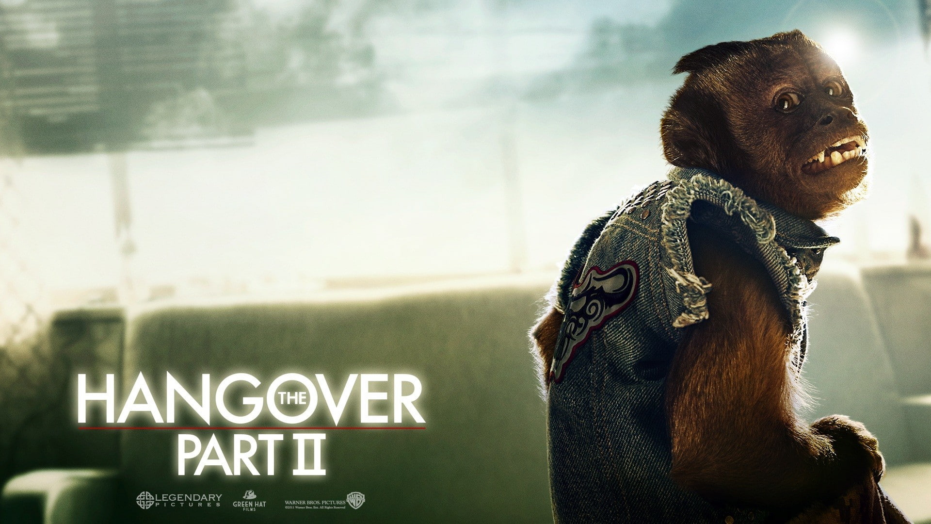 Hangover, 1080P, The Hangover, HD Wallpaper
