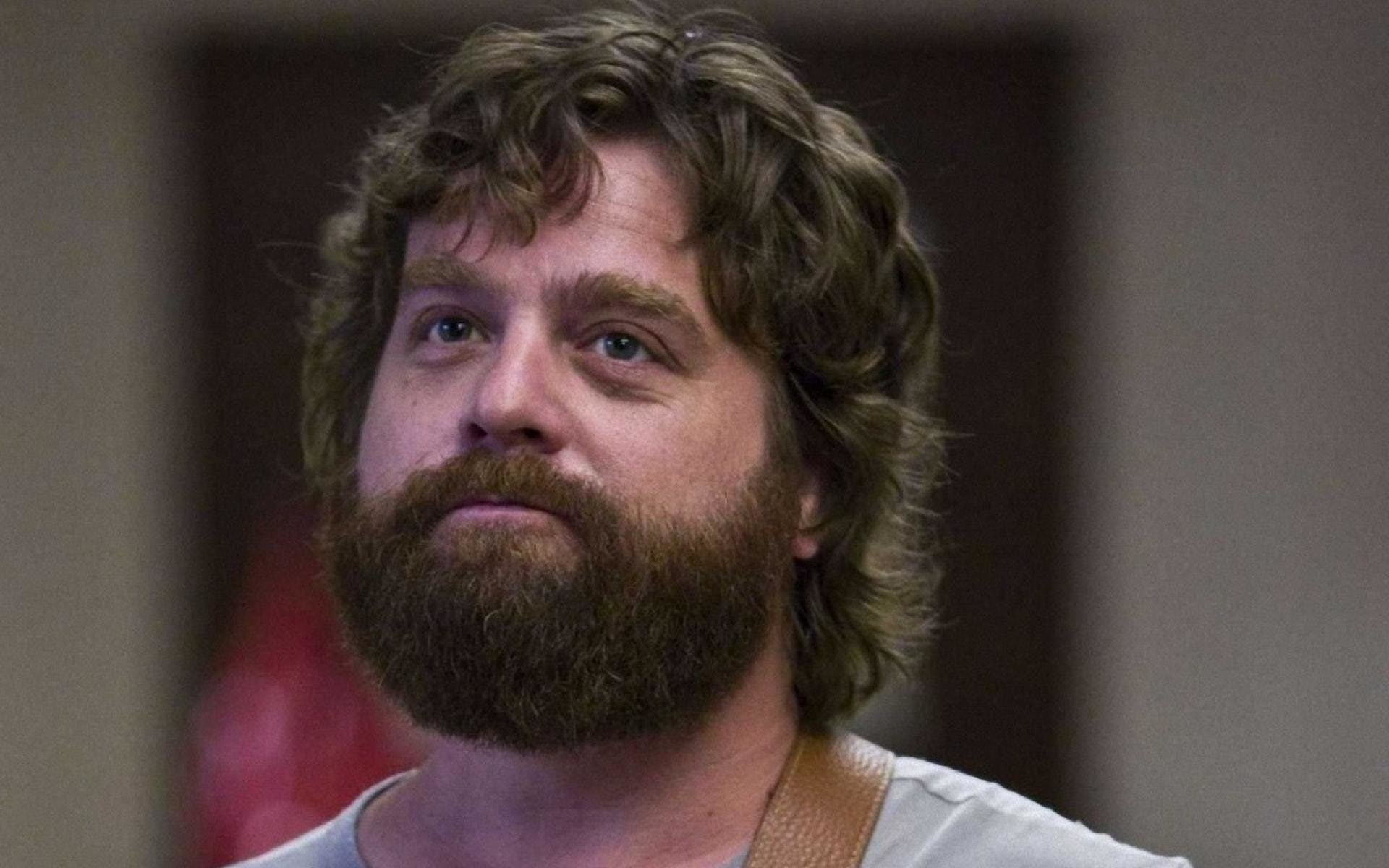 Zach Galifianakis, Celebrity, 1080P, HD Wallpaper