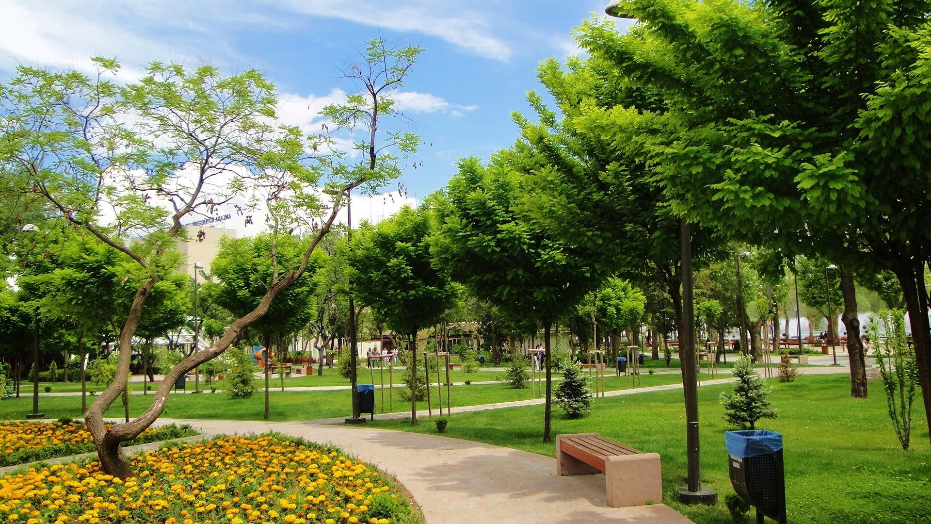 green, blue, michael-franks, youth, park, phil-collins, mantovani, 1080P, HD Wallpaper