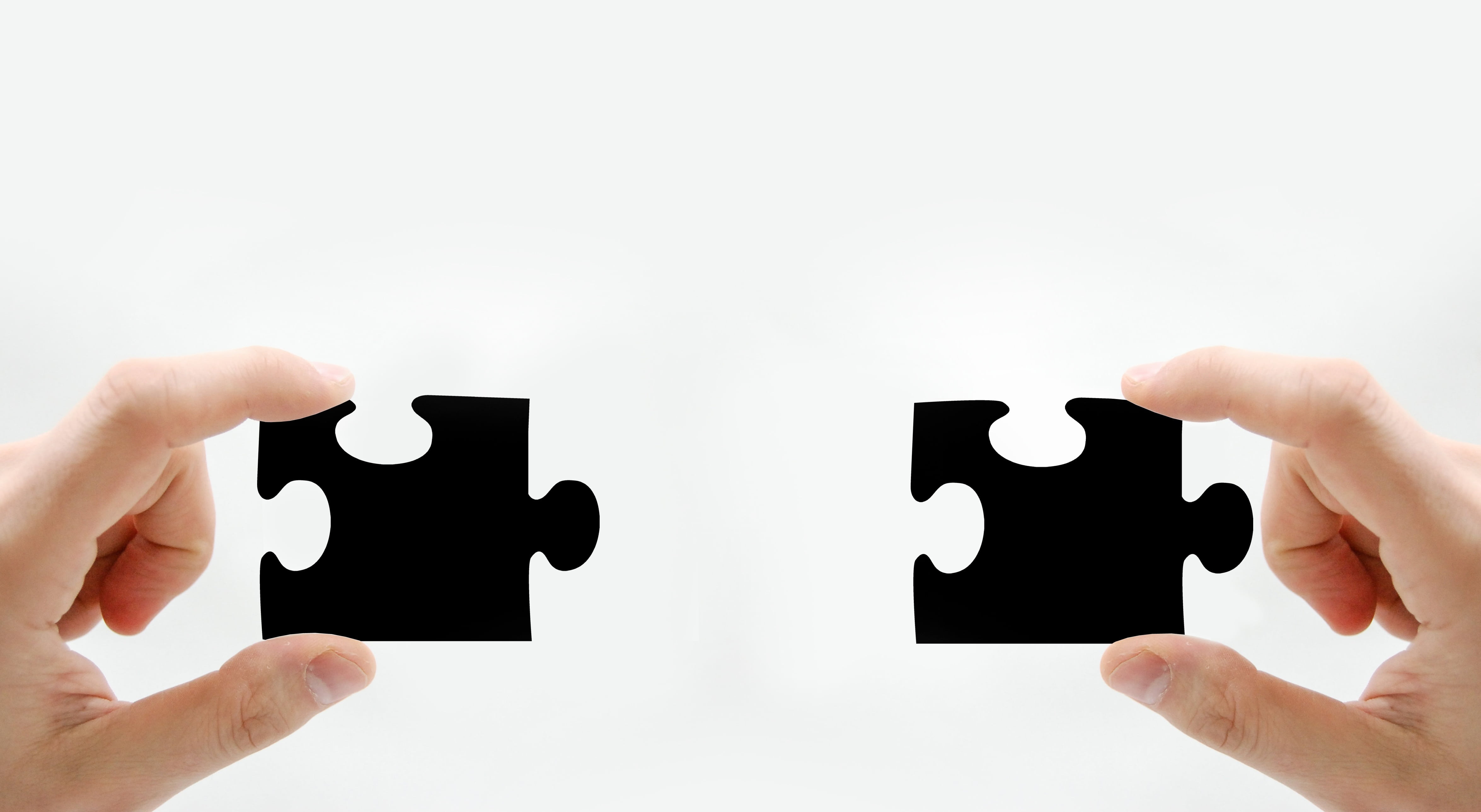 team spirit, studio shot, jigsaw piece, cohesion, fit, blank, partnership, koorparativ, work with, white background, together, white color, close-up, people, HD Wallpaper