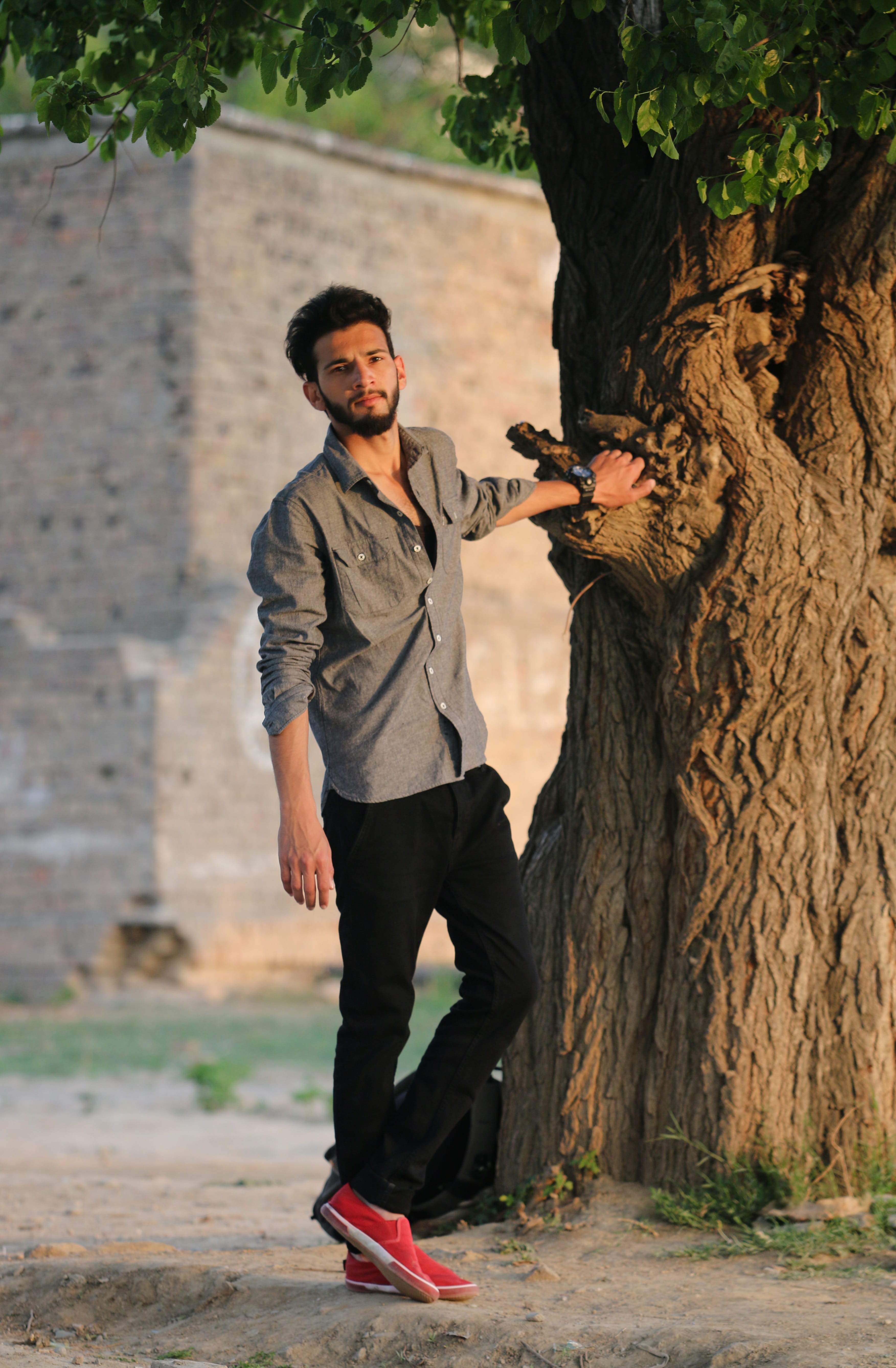 full length, young adult, 5K, blurry background, pakistan, tree trunk, one person, people, plant, hairstyle, man, young men, park, nature, male model, Phone HD Wallpaper