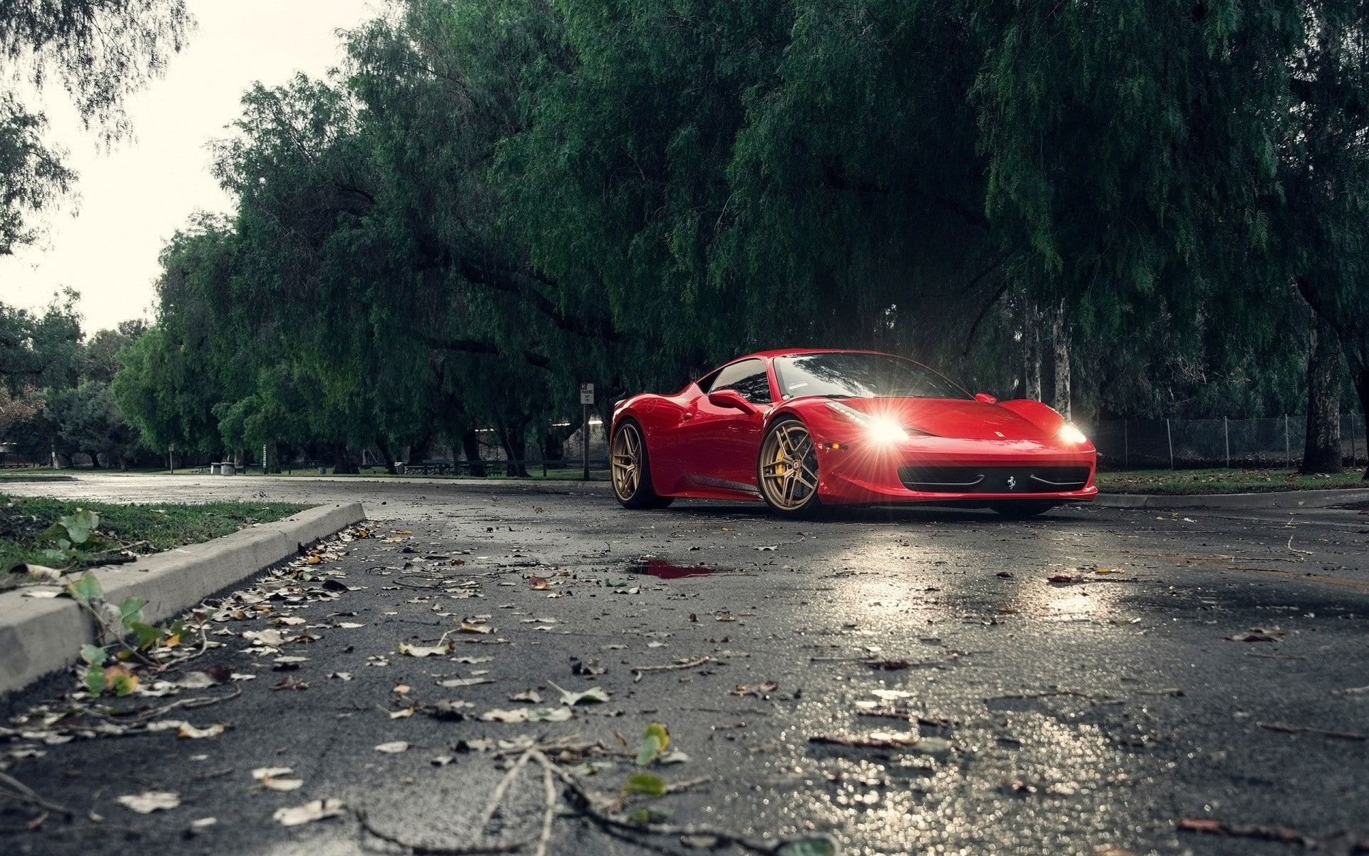 the way forward, day, red, tree, travel, mode of transportation, motor vehicle, transportation, direction, city, street, nature, growth, motion, 1080P, HD Wallpaper