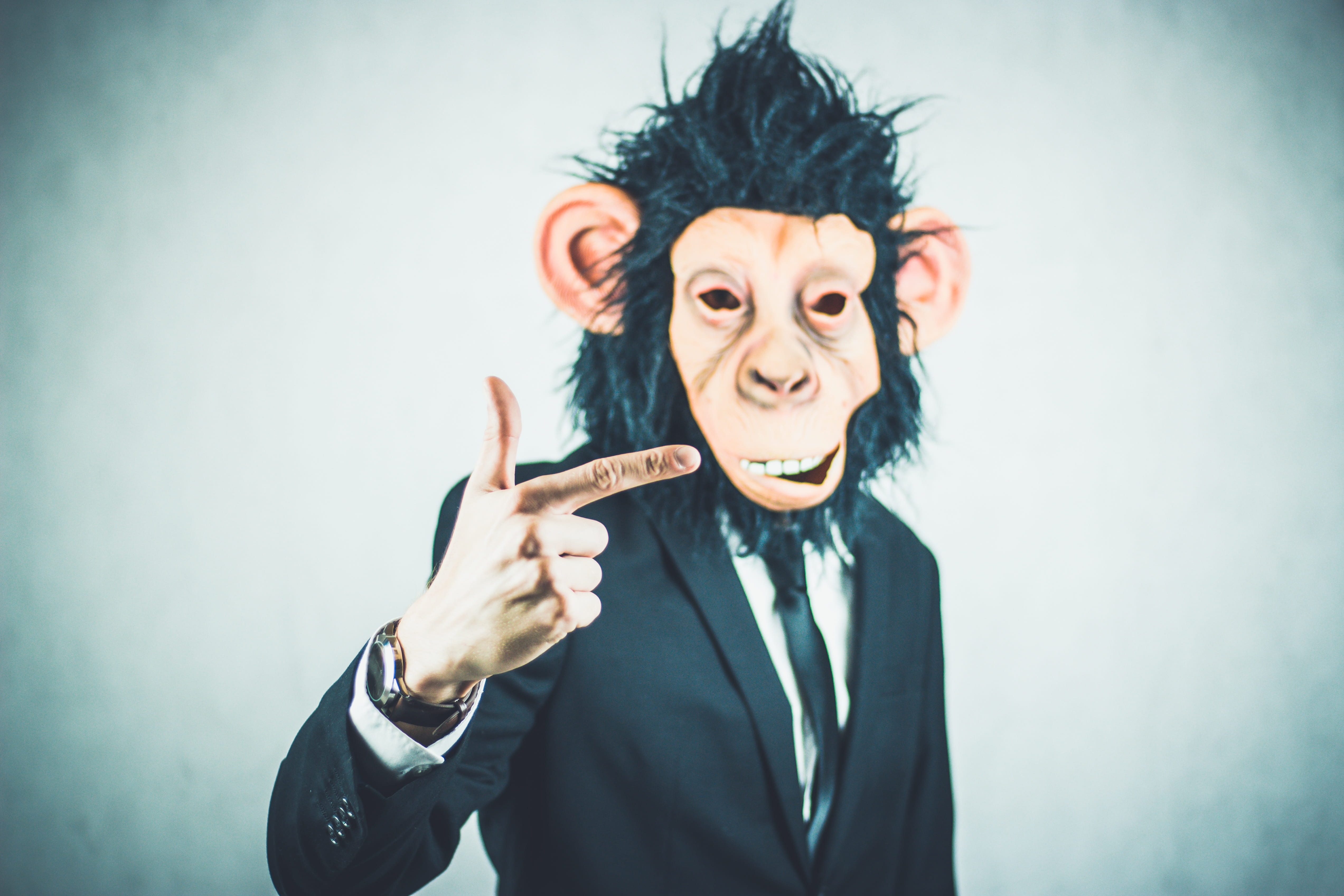 tax consultant, management, team leader, businessman, aggression, studio shot, professional, gesturing, two, outfit, manager, suit, vignette, making a face, HD Wallpaper