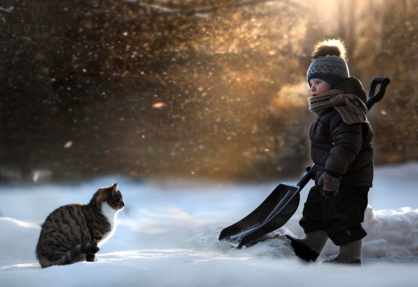 depth of field, cat, shovels, snow, winter, 720P, children, HD Wallpaper