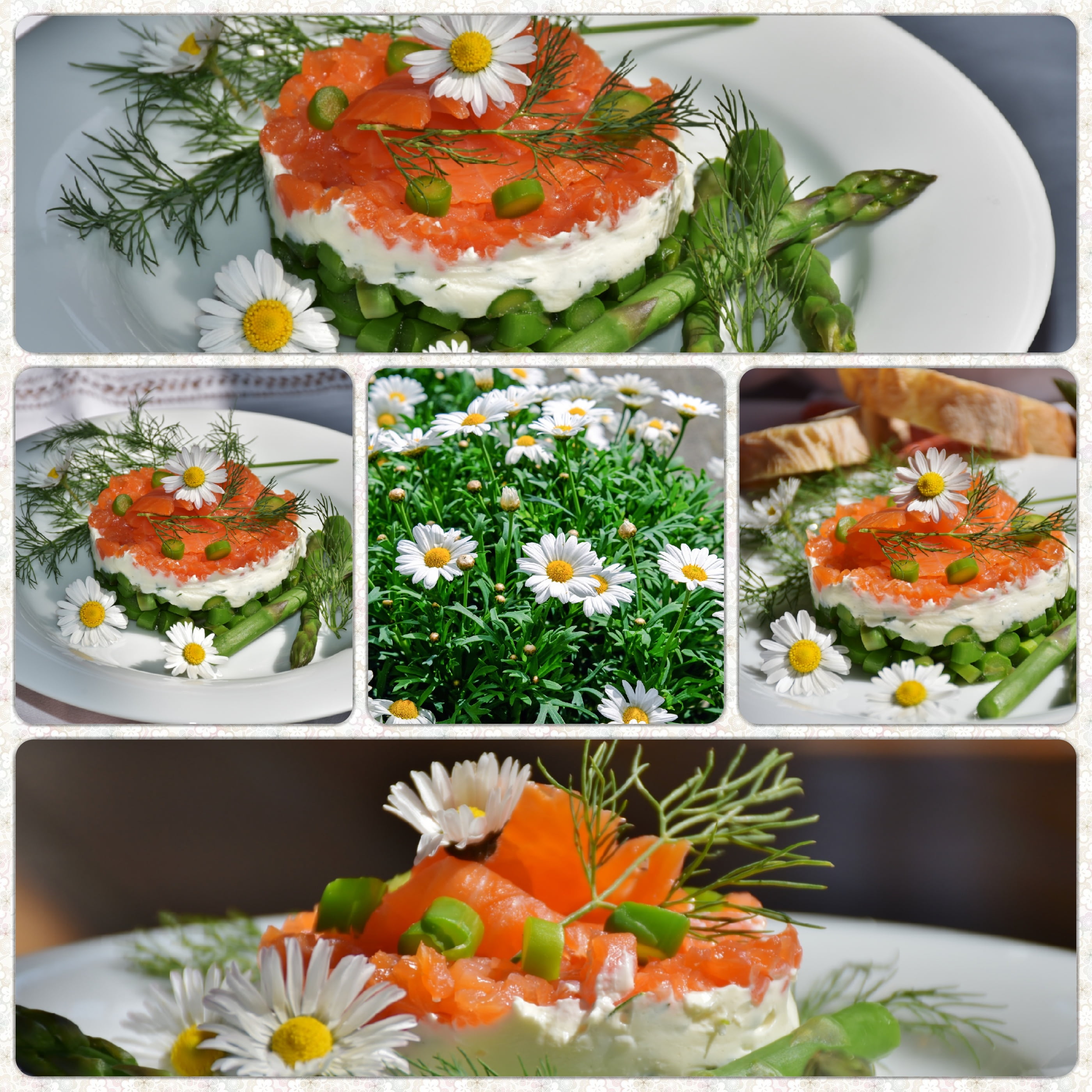 smoked salmon, choice, asparagus, preparation, rice, collage, flower, herbs, freshness, food, wellbeing, asparagus salad, fishing, top, flowering plant, Phone HD Wallpaper