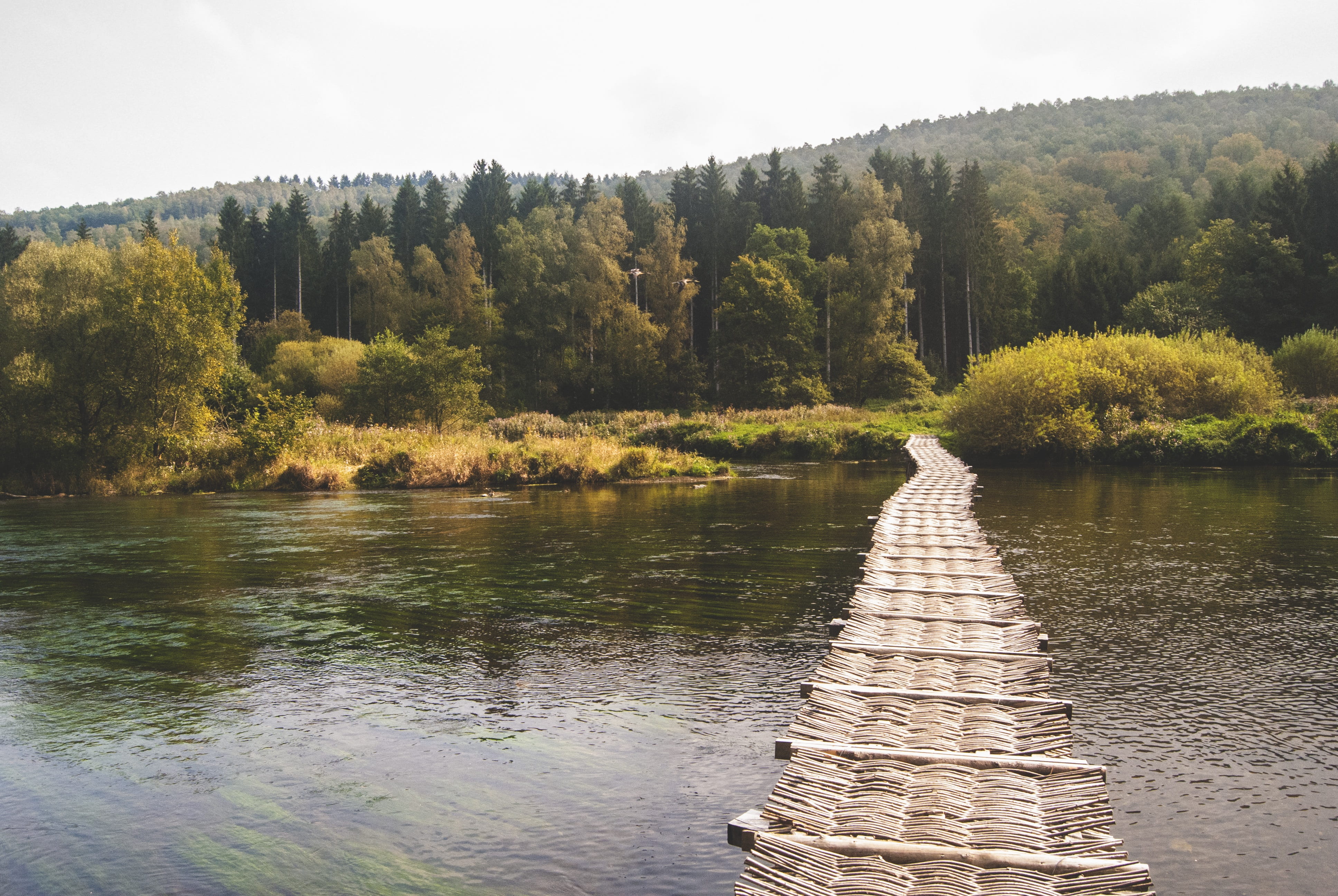 scene, range, explore, fitness, non-urban scene, tranquility, exploration, water, body, green, wander, landscape, earth, life, balance, success, wood - material, HD Wallpaper