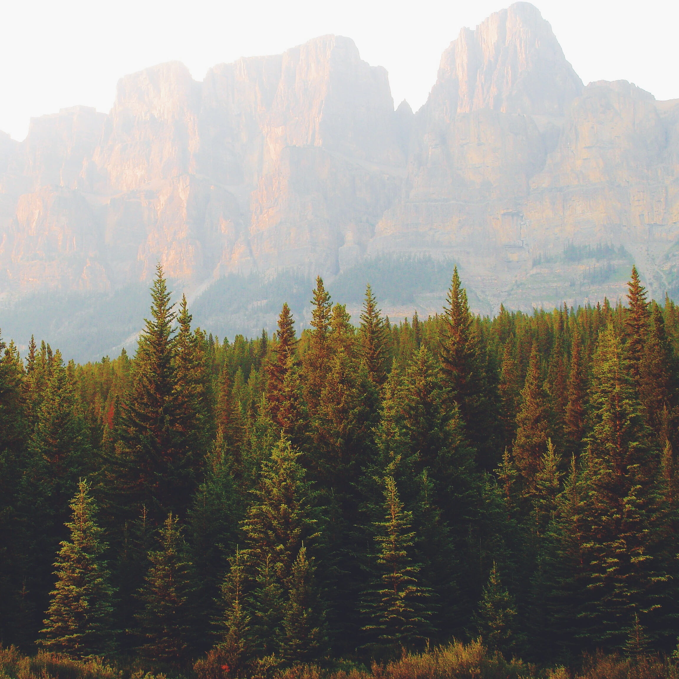 accomplish, growth, exploration, no people, wellbeing, earth, wild, climb, outdoors, discover, scene, trees, fitness, day, range, elements, non-urban scene, Phone HD Wallpaper
