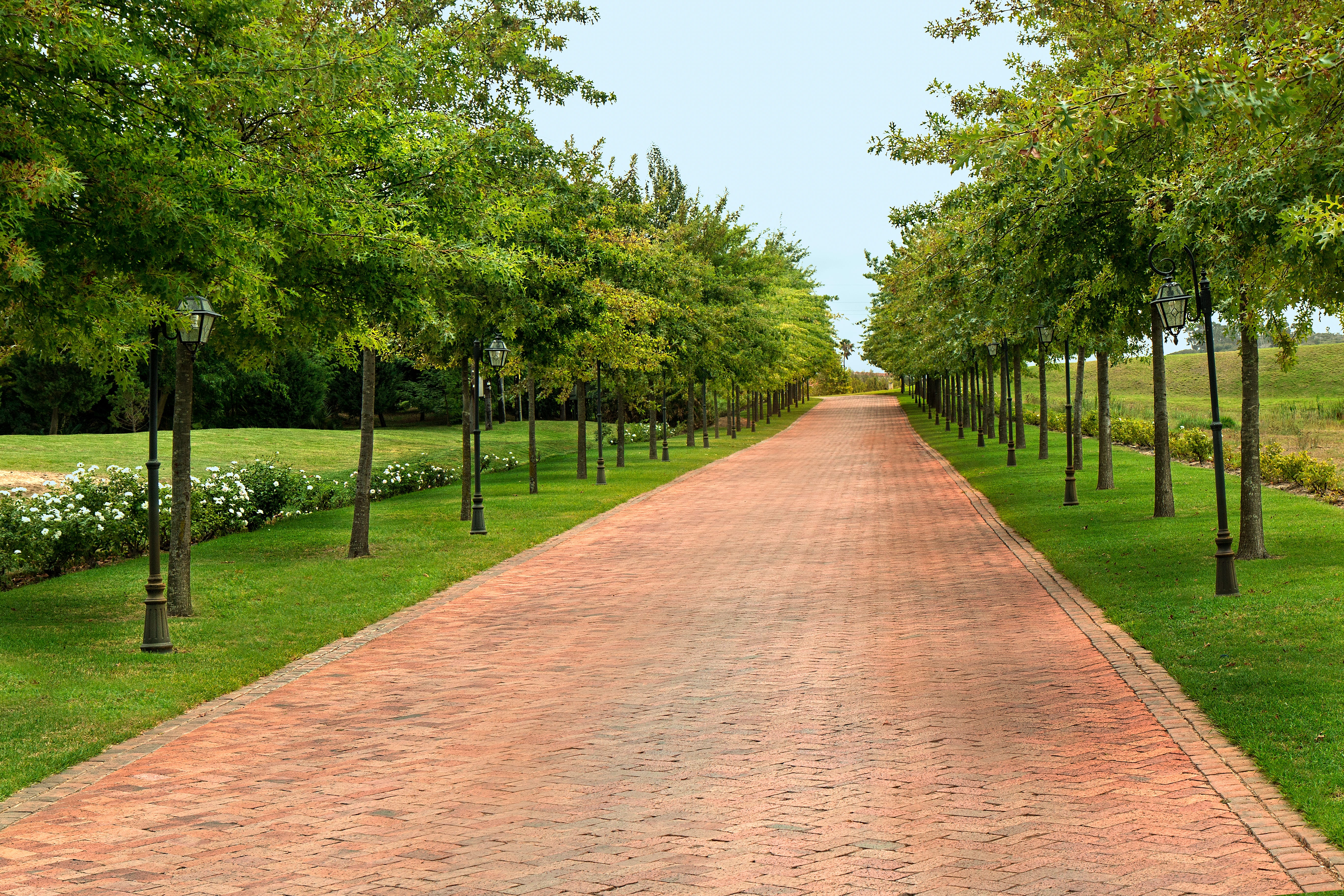 western cape, footpath, driveway, beauty in nature, the way forward, road, pathway, way, journey, franschhoek, lane, travel, countryside, future, route, HD Wallpaper