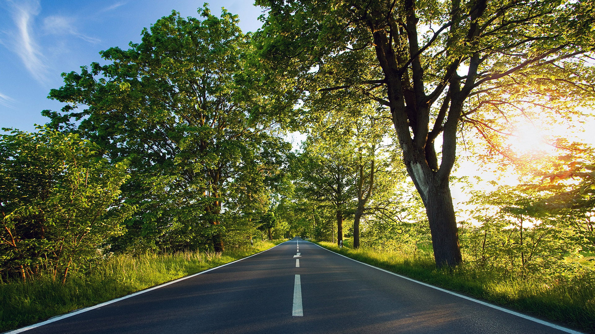 grass, no people, marking, sky, landscape, symbol, scene, speed, avenue, beauty in nature, season, the way forward, sign, asphalt, travel, tree, cloud, HD Wallpaper