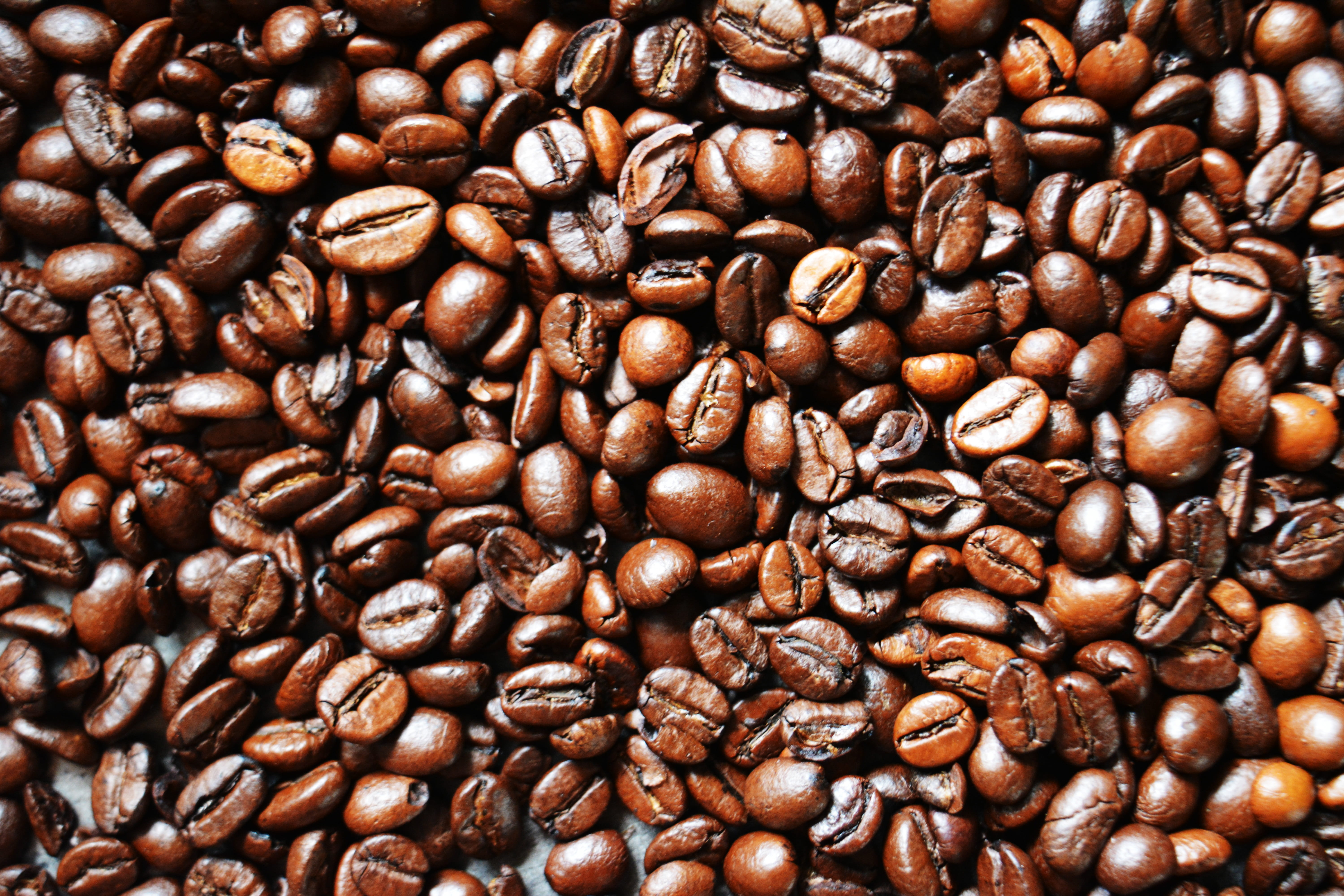 backgrounds, 5K, coffee - drink, indoors, black, espresso, roasted coffee bean, refreshment, no people, close-up, food, coffee beans, full frame, freshness, HD Wallpaper