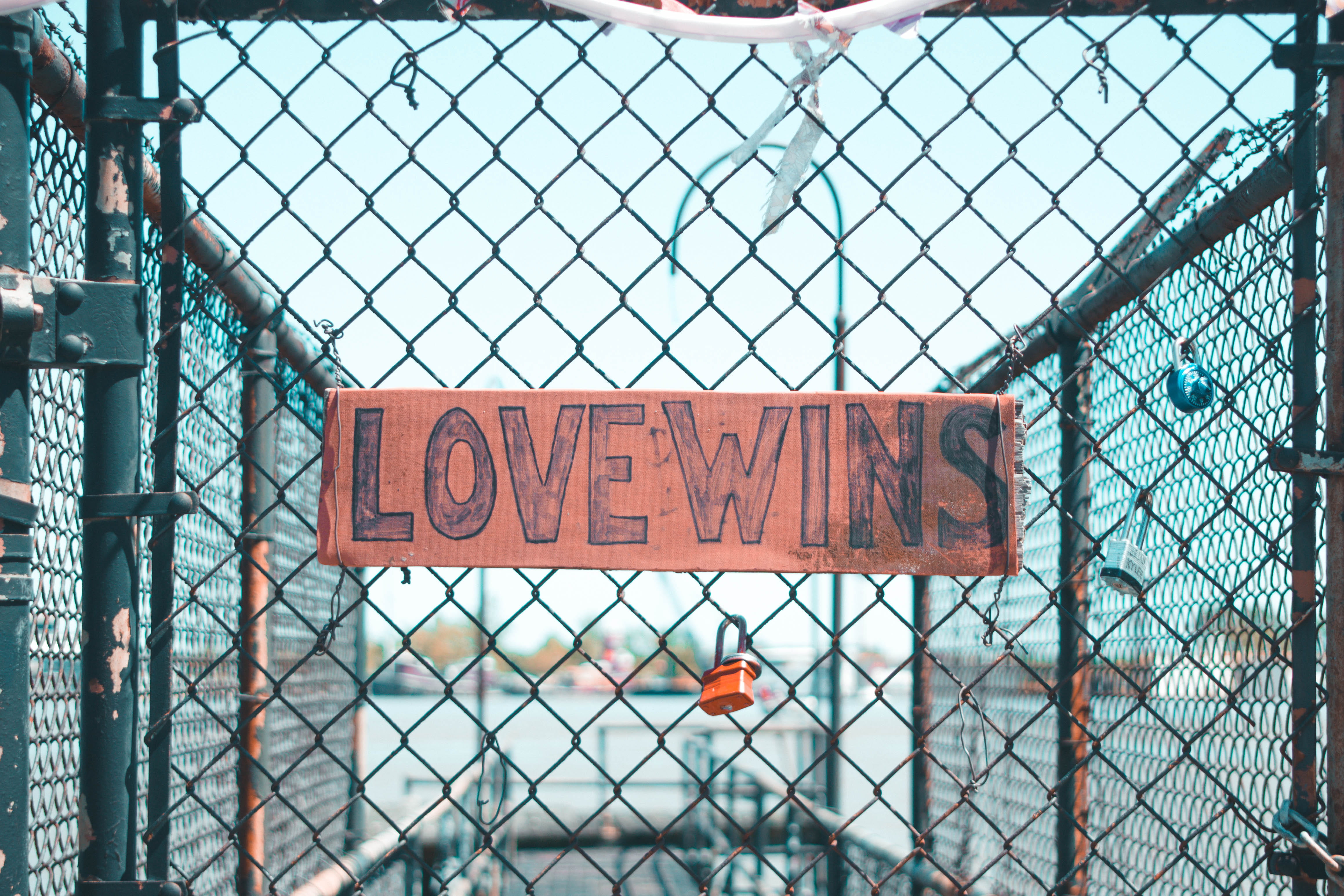 western script, gray, guidance, day, information sign, gate, wins, message, 4K, lgbtq, information, lovewins, sign, win, boundary, chainlink, hipster, HD Wallpaper