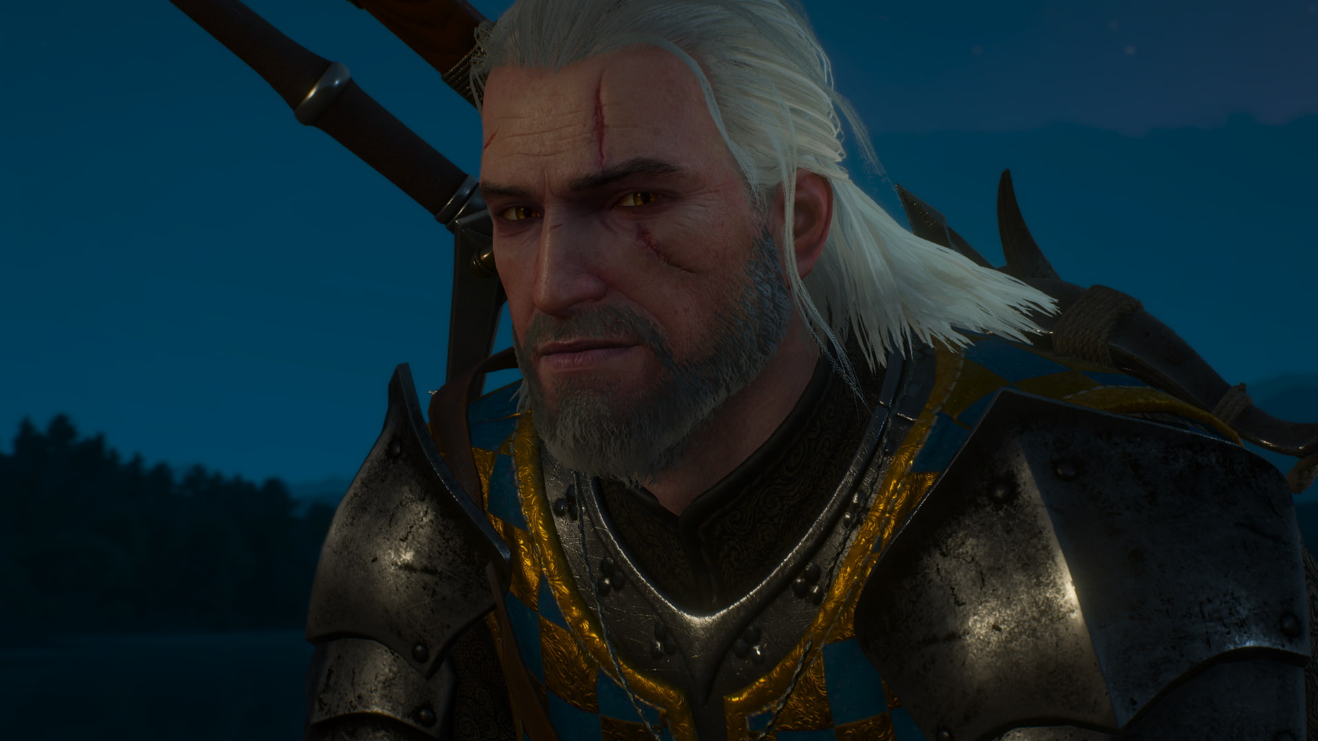 front view, looking at viewer, The Witcher, nature, clothing, 1080P, mature adult, males, looking, video games, leisure activity, real people, men, headshot, HD Wallpaper
