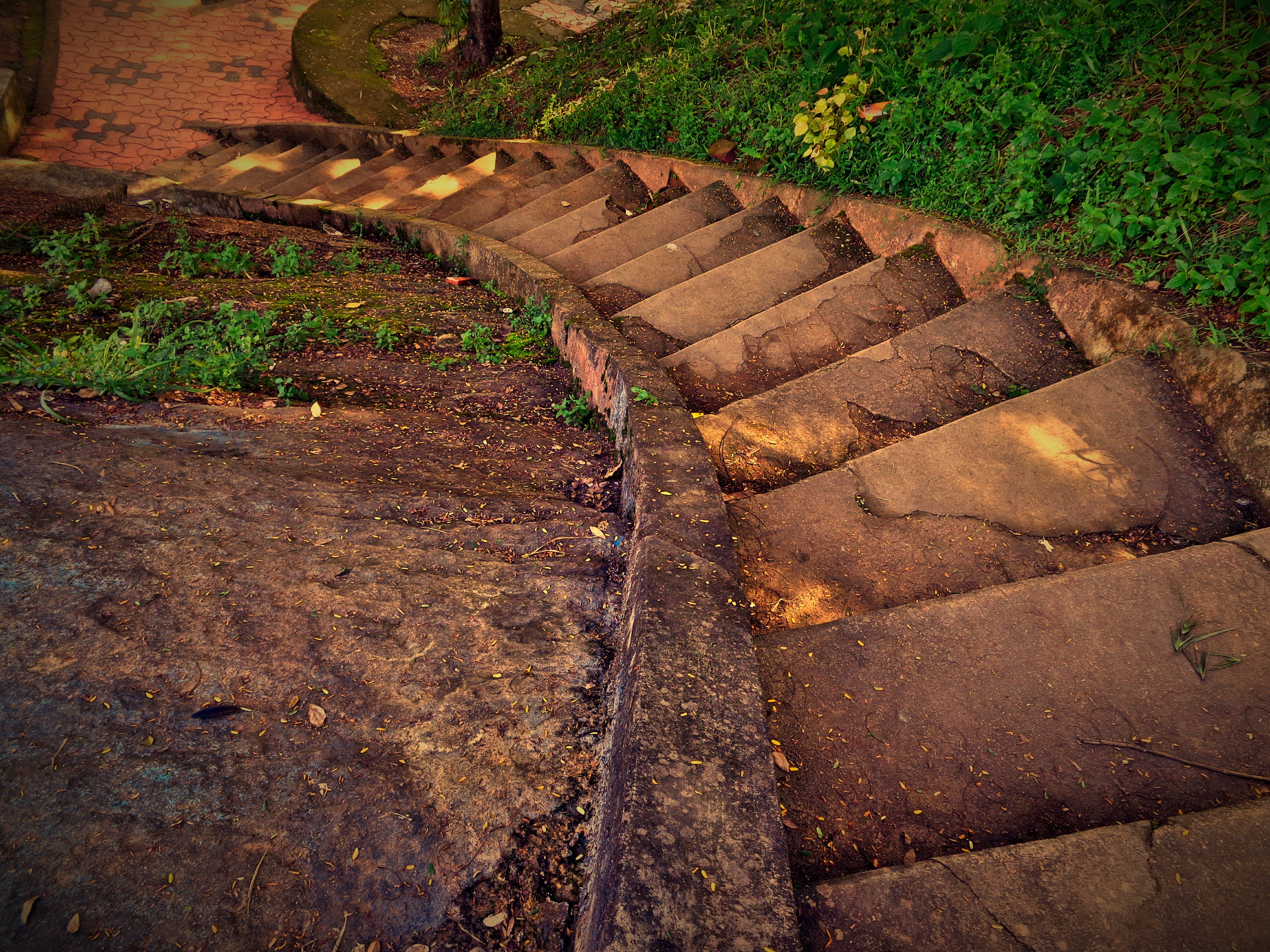 plant, stairway, high angle view, wheel, 4K, no people, day, old, staircase, way, success, water, nature, footpath, climb, rusty, architecture, stair, HD Wallpaper