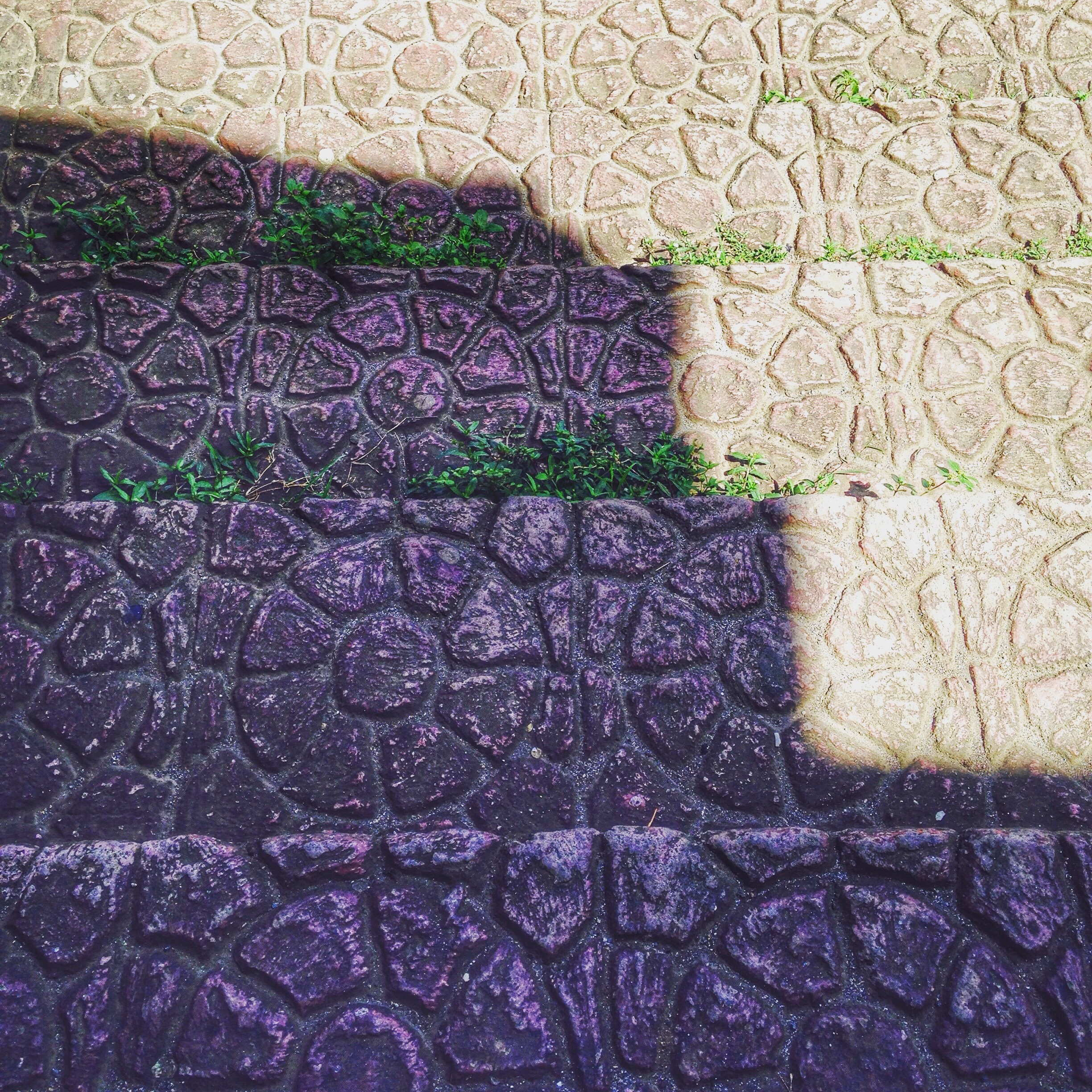 day, wall, pattern, multi colored, floor, symbol, grunge, way, steps, creativity, floral pattern, architecture, staircase, nature, structure, 1080P, achievement, Phone HD Wallpaper