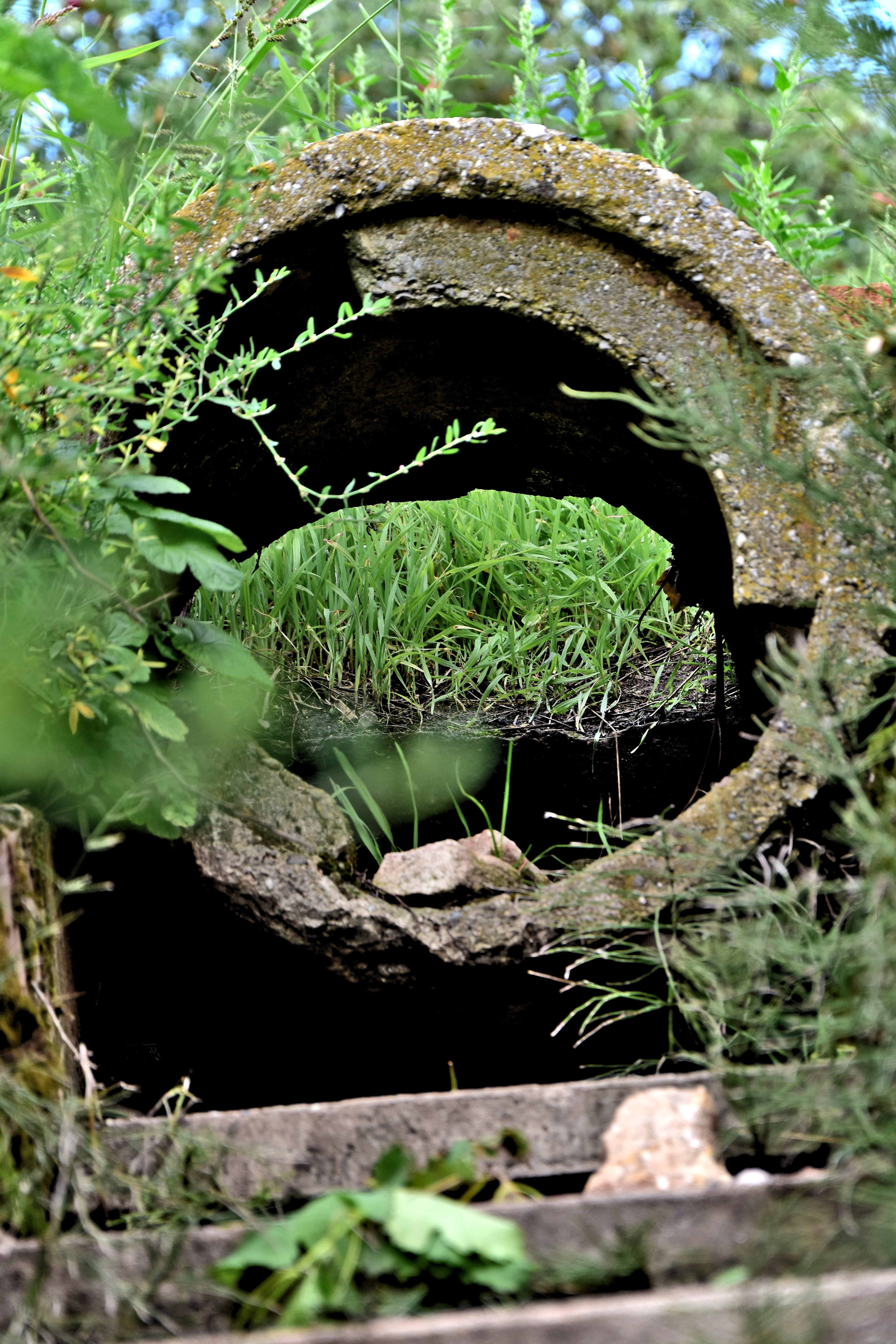 abandoned, building, rise, pipe, architecture, wheel, plant part, outdoor, water, outside, earth, leaf, natural, concrete, stairs, stairway, construction, Phone HD Wallpaper
