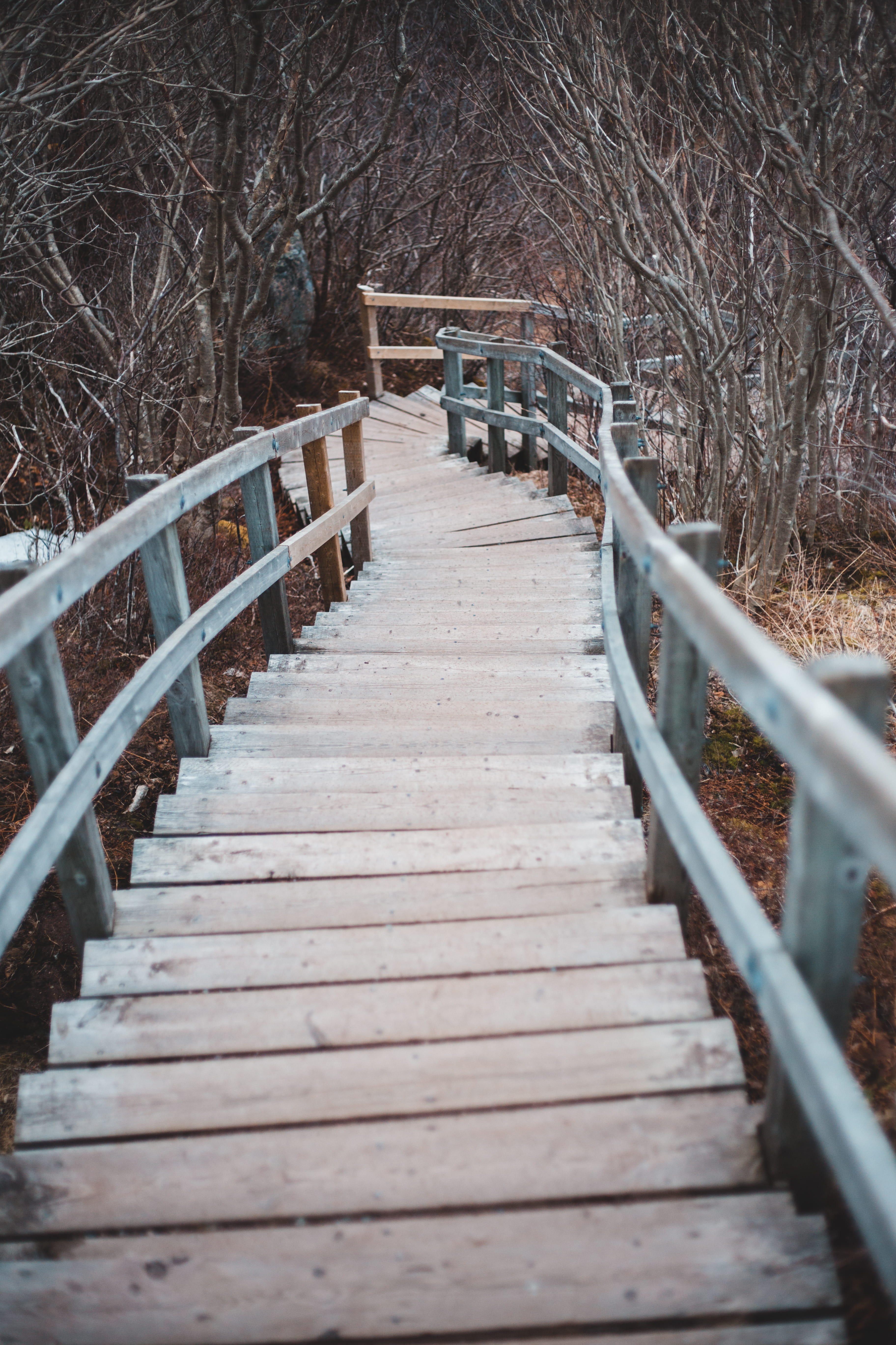 connection, wooden, building, built structure, architecture, crypt, bare tree, nature, walkway, cold temperature, banister, railing, path, road, bridge, Phone HD Wallpaper