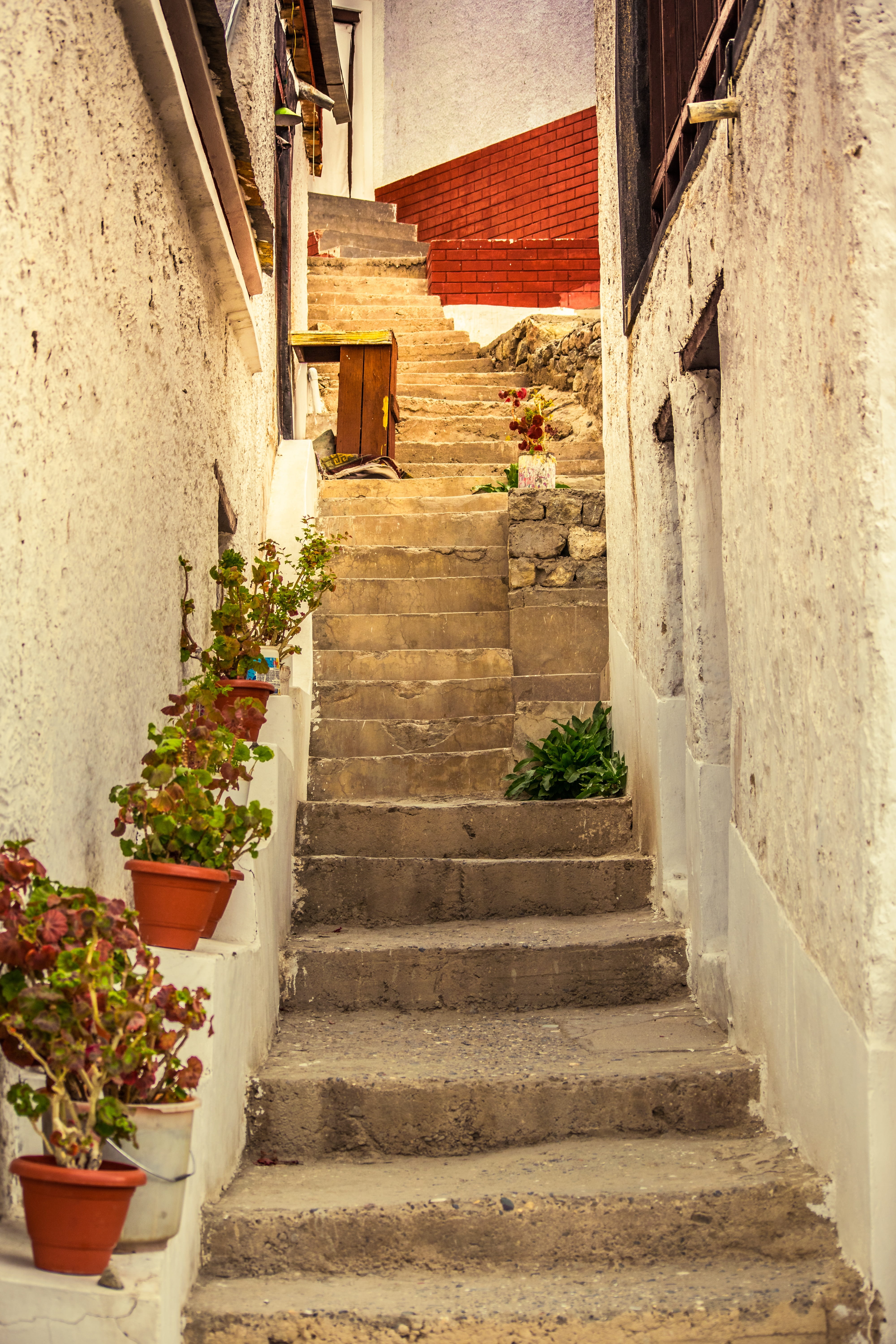 path, summer, travel, town, staircase, building, alley, stairs, walkway, pathway, wall - building feature, scene, way, 5K, lane, potted plant, steps, residential district, Phone HD Wallpaper