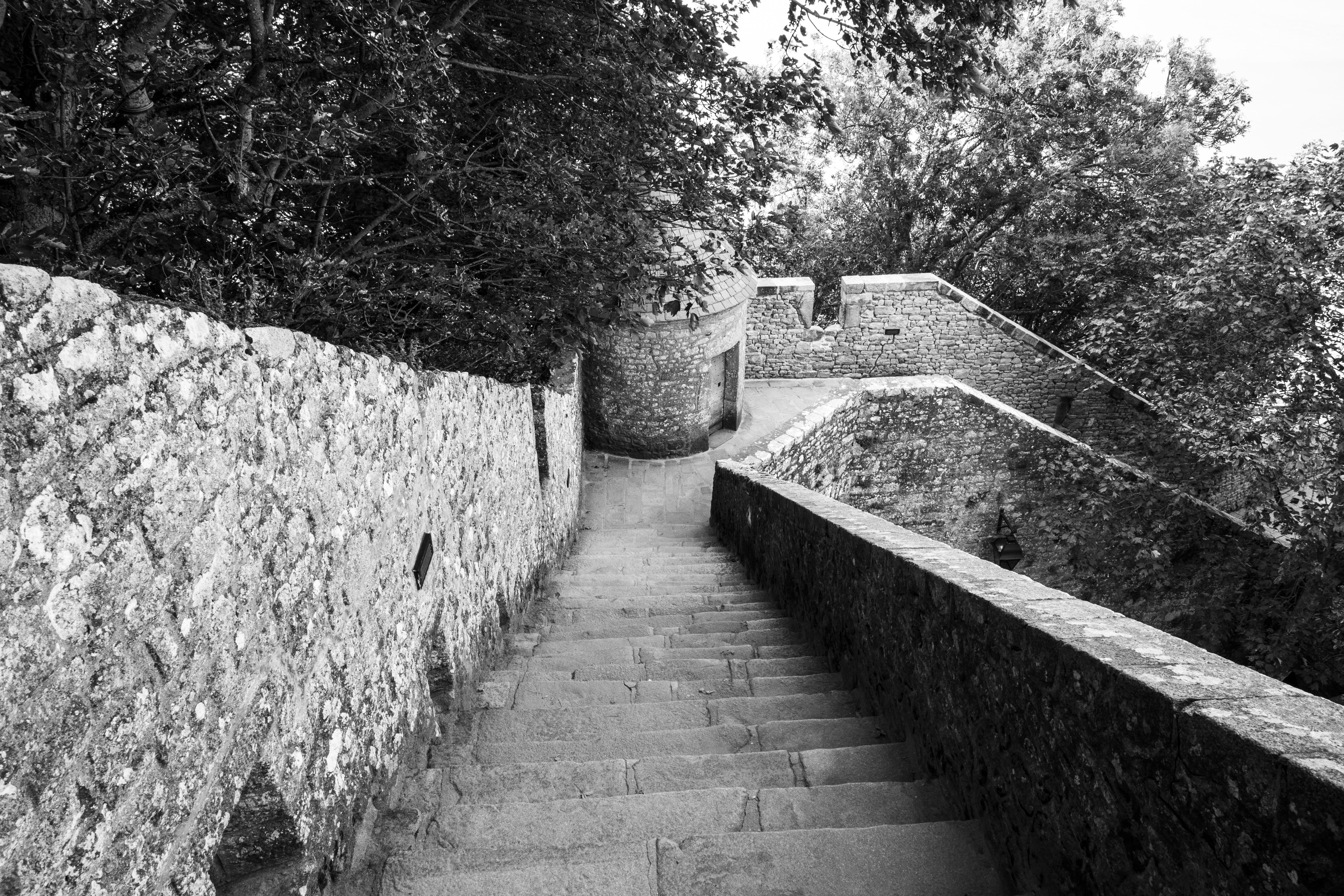 stairs, tree, direction, plant, architecture, down, history, up, adventure, route, 5K, growth, travel, hedge, way, footpath, staircase, surrounding wall, HD Wallpaper