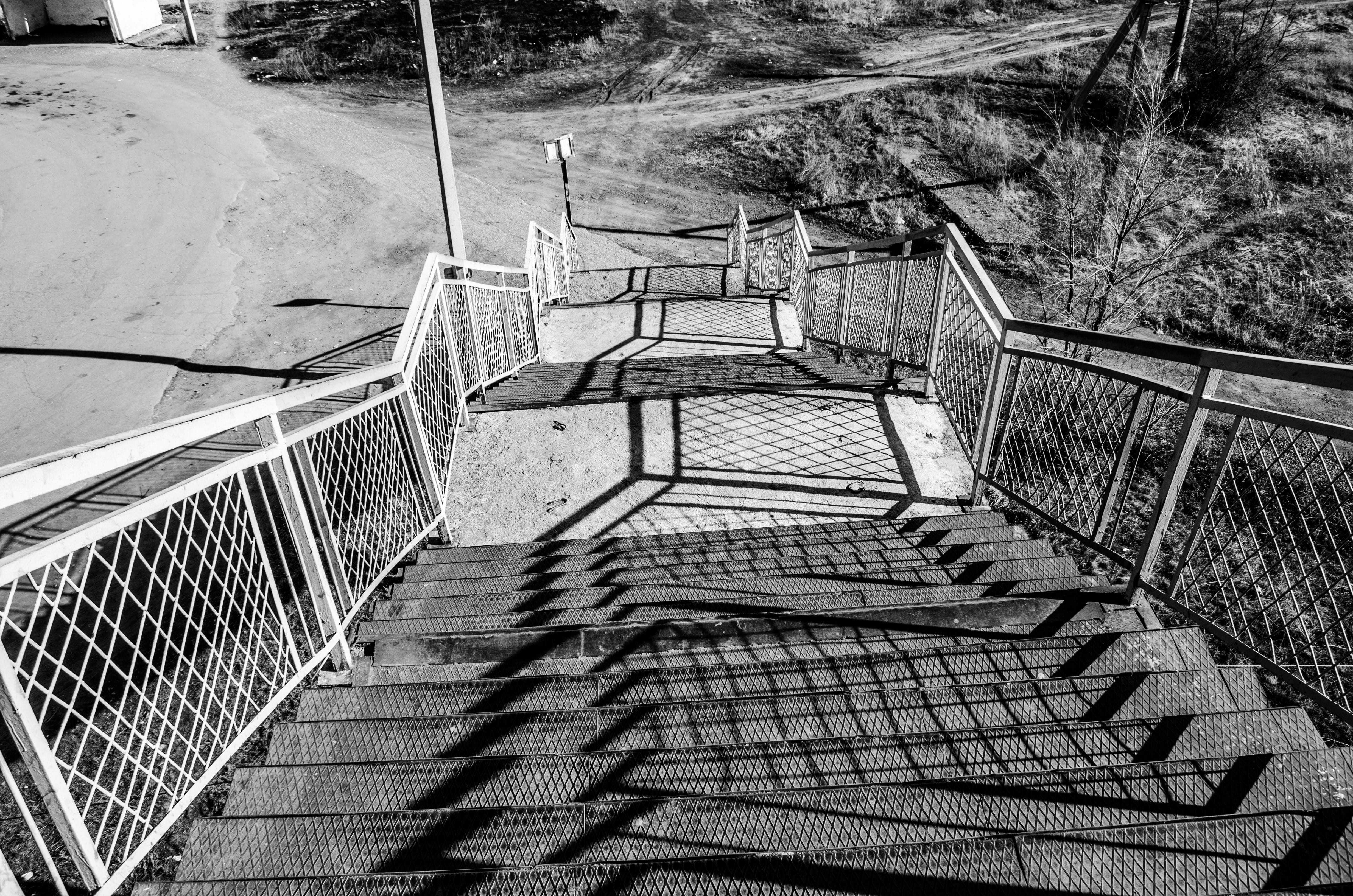 black And White, tree, steps and staircases, plant, footbridge, no People, day, built structure, railing, Stairway, stair, direction, steps, bridge - Man Made Structure, HD Wallpaper