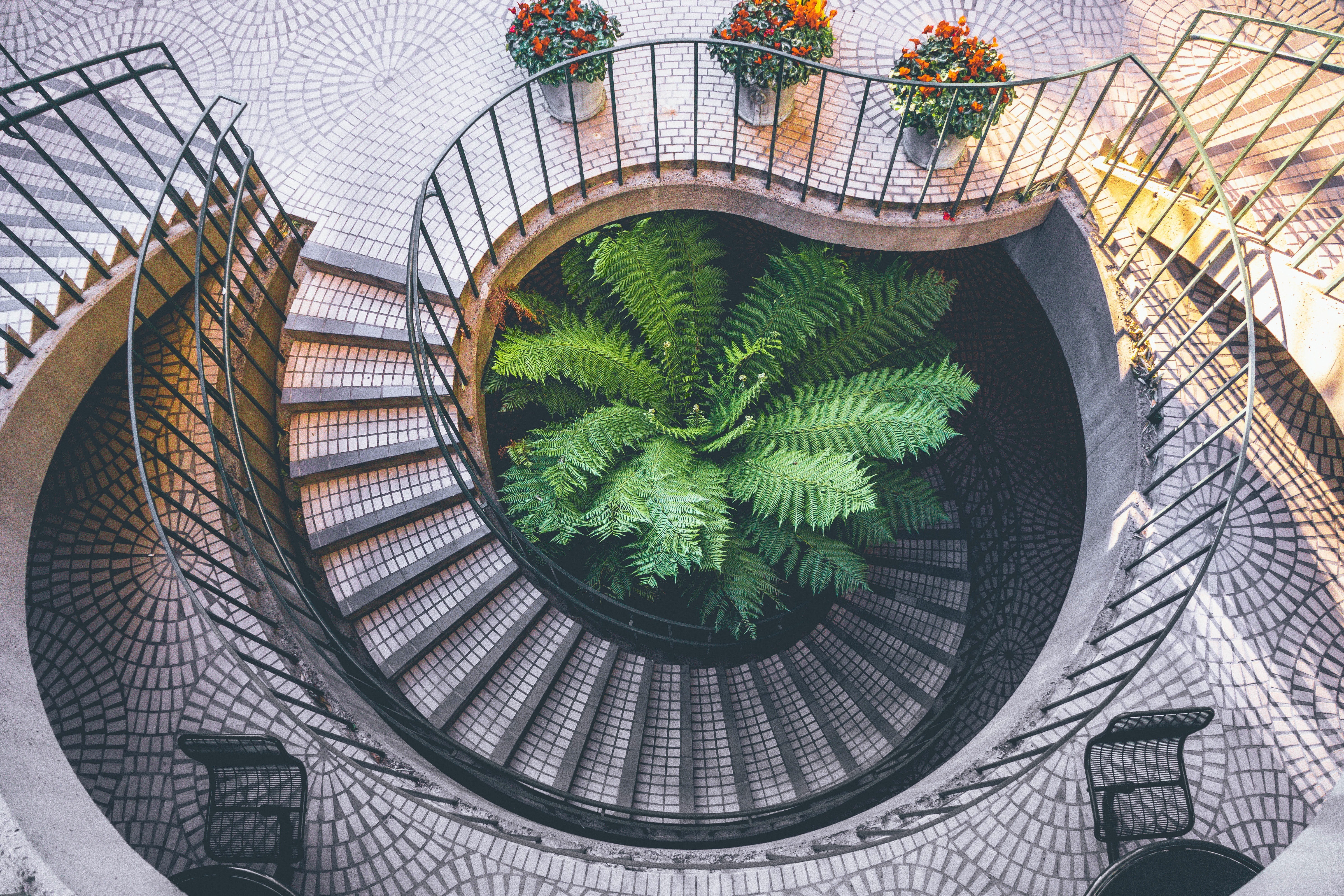 interior, tree, outdoors, day, building, circle, design, animal representation, circular, handrail, architectural, built structure, curve, staircase, spiral, HD Wallpaper