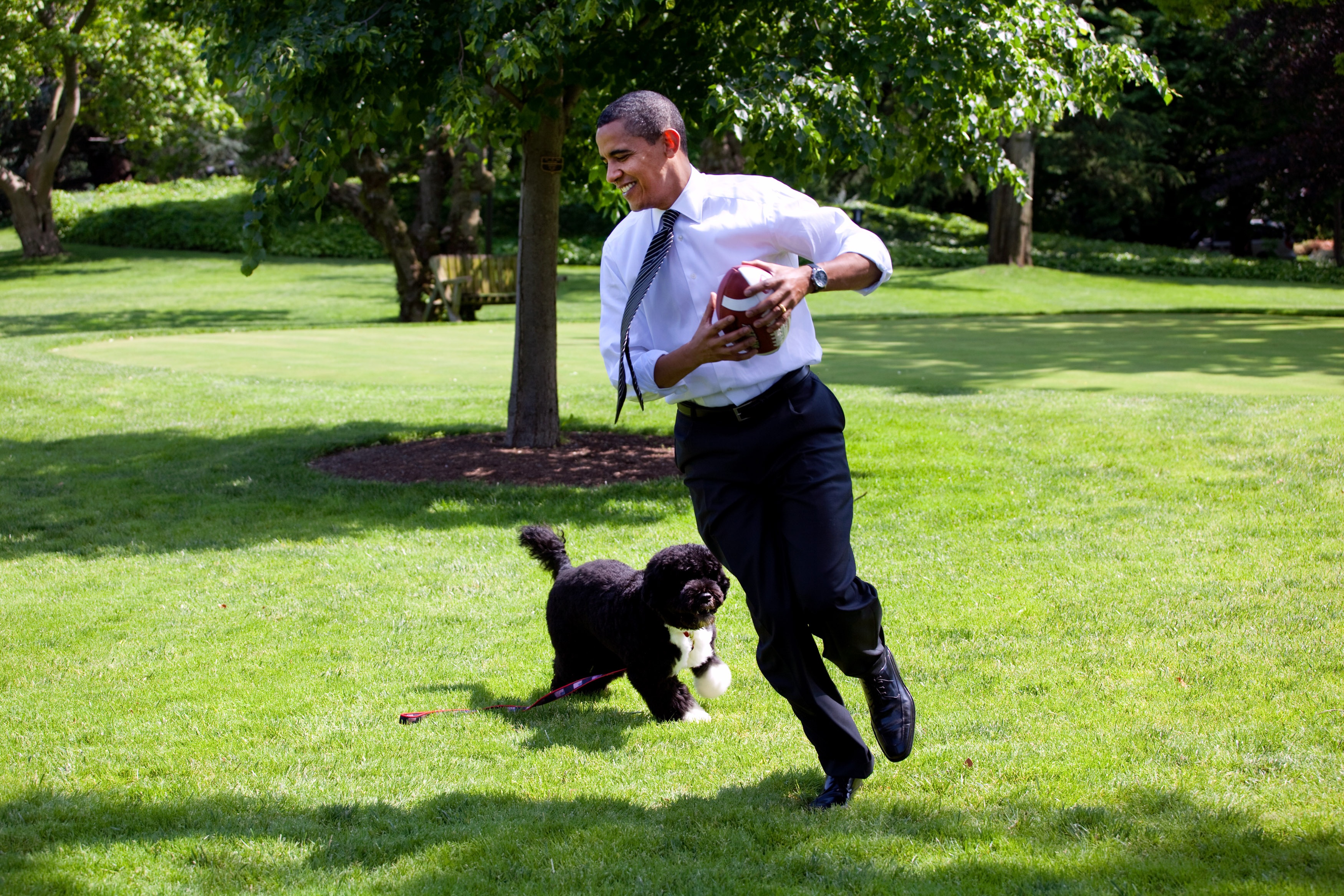 cute, people, white house, play, real people, relax, friendship, smile, lawn, barrack, domestic, run, obama, outdoors, adult, photo public domain, grass, HD Wallpaper