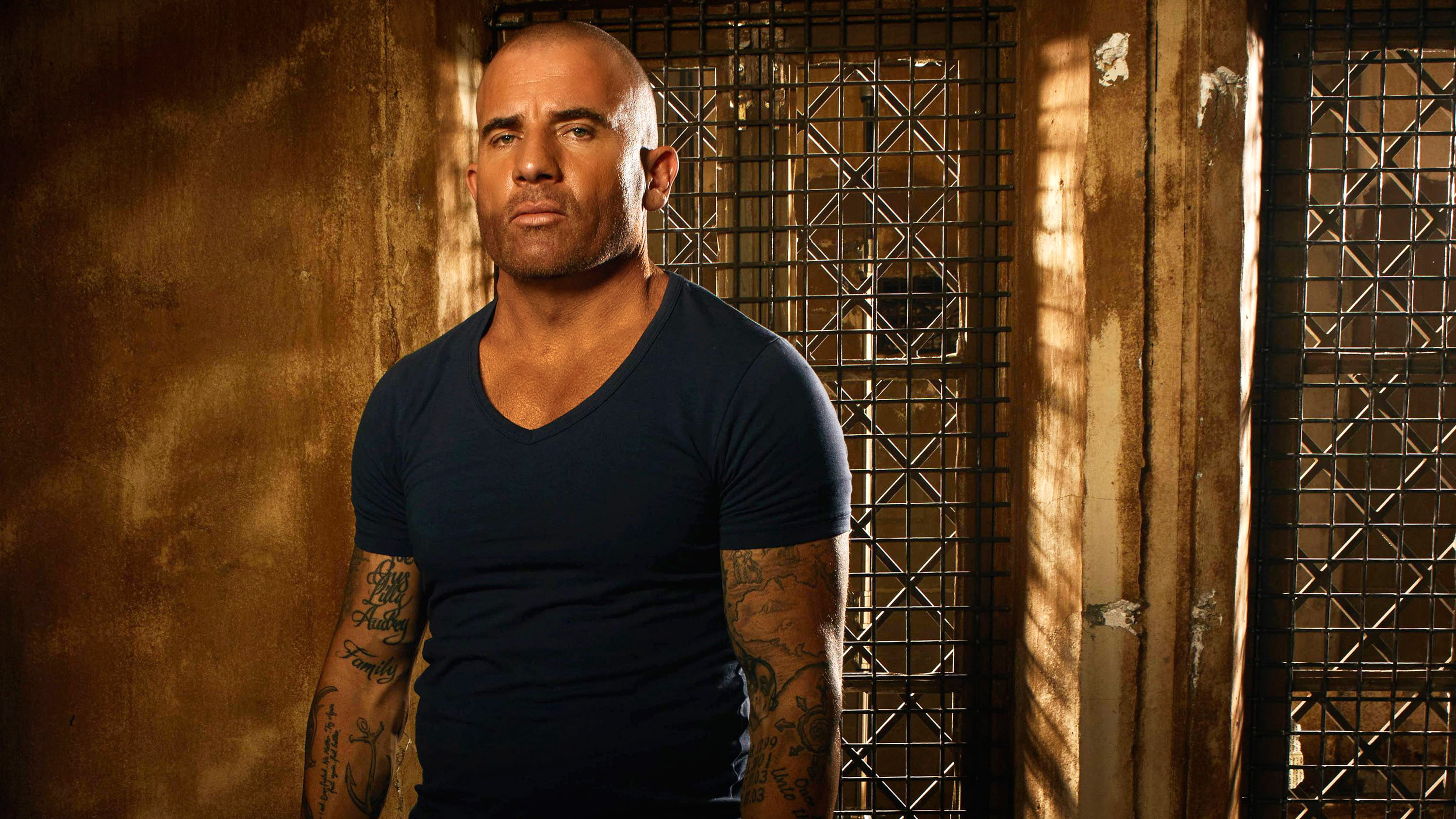 Season 5, neck, Dominic Purcell, man, shirt, v, Lincoln Burrows, Prison Break: Sequel, photography, 2K, blue, HD Wallpaper
